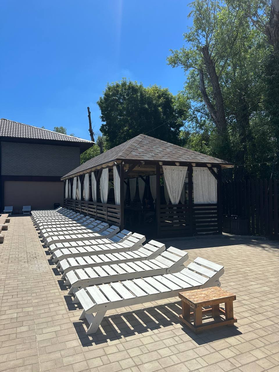 Фото Кипарис