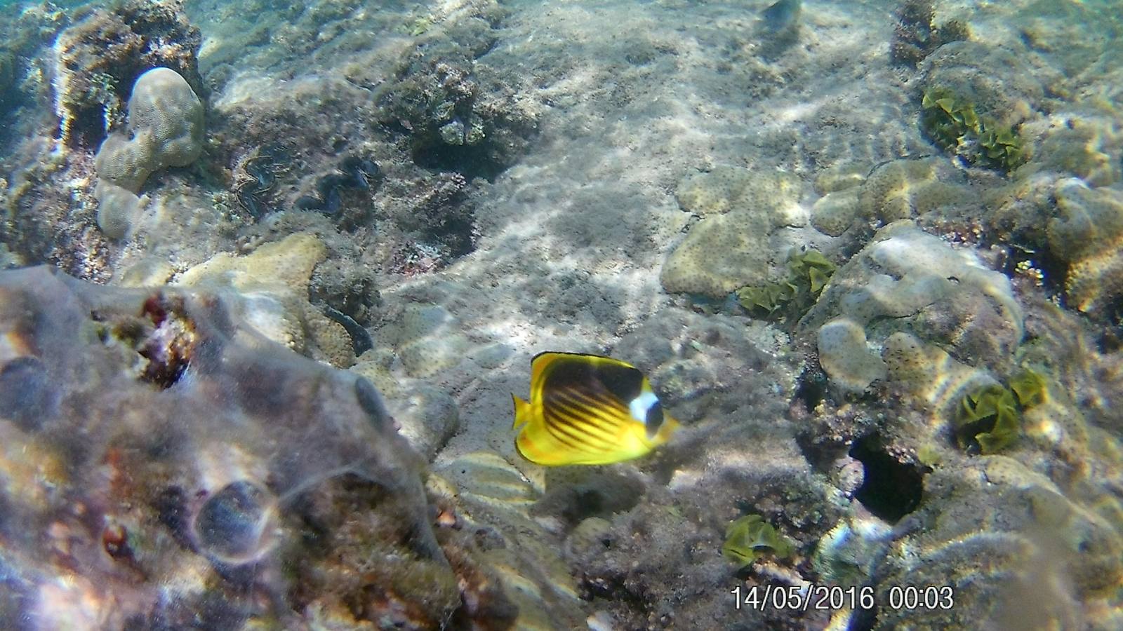 Фото Titanic Beach