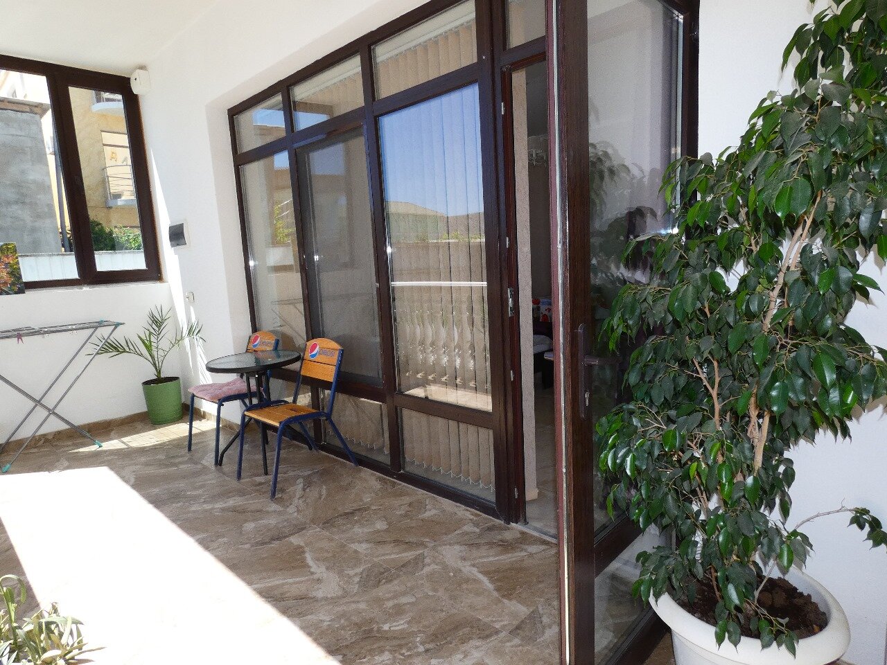 Фото Алладин