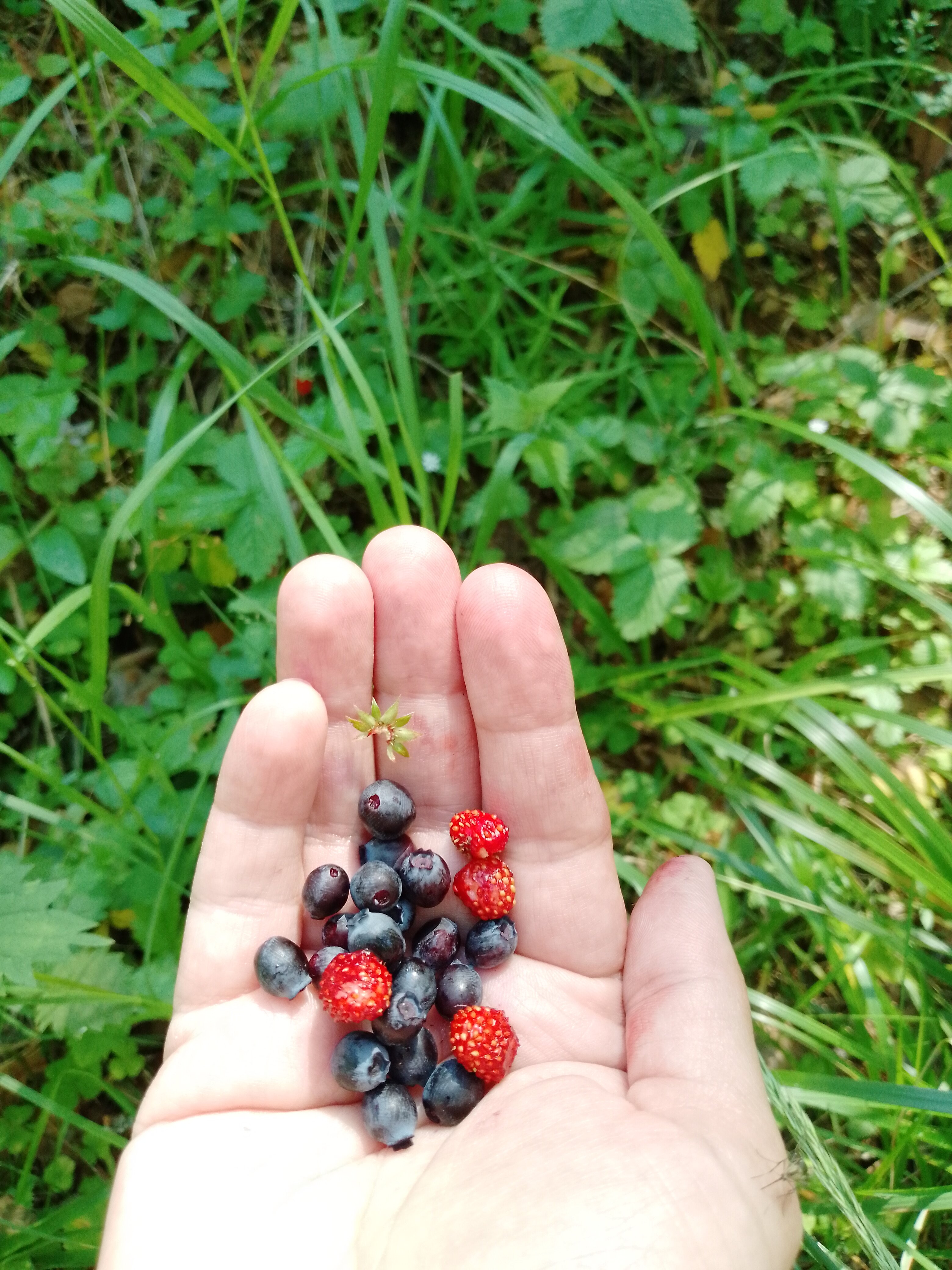 Фото Ясные зори