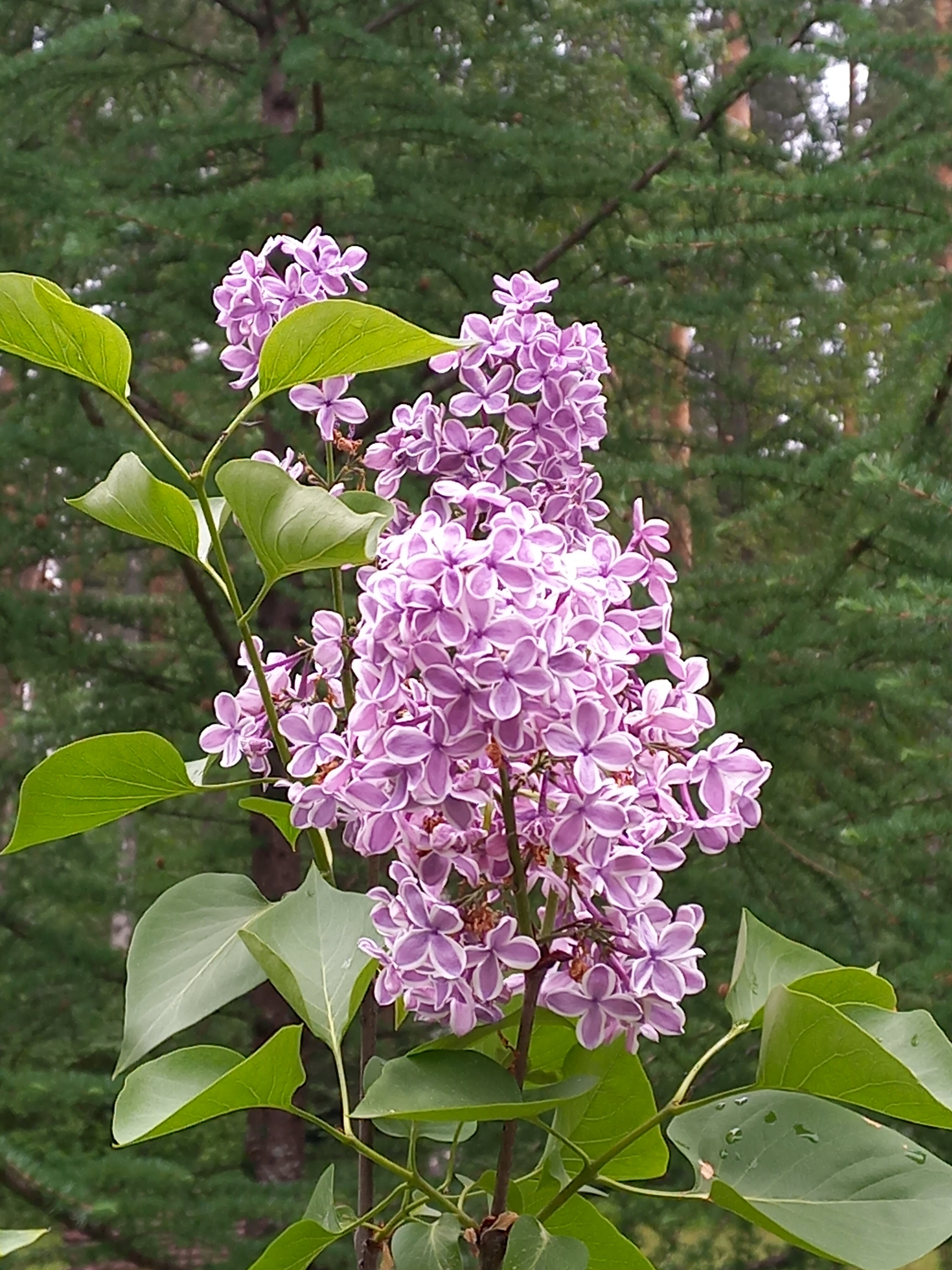 Фото Дом творчества Архитектор