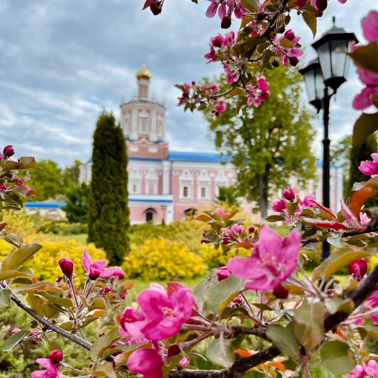 Фото Солотча