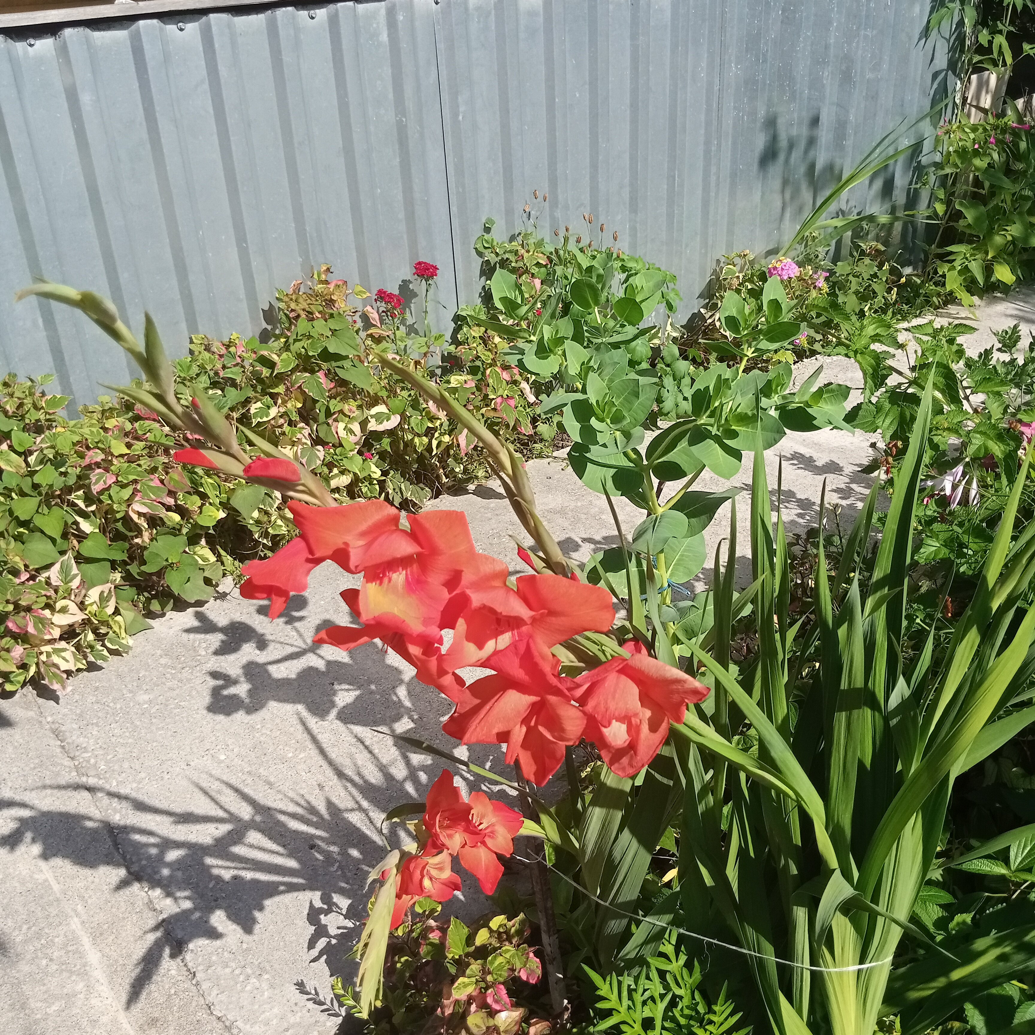 Фото Гостевой Дом Изабелла