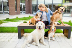 The Pet Sitting Co Abu Dhabi (89, Al Mudwi Street, SW17-01, Khalifa City, Abu Dhabi), household staff