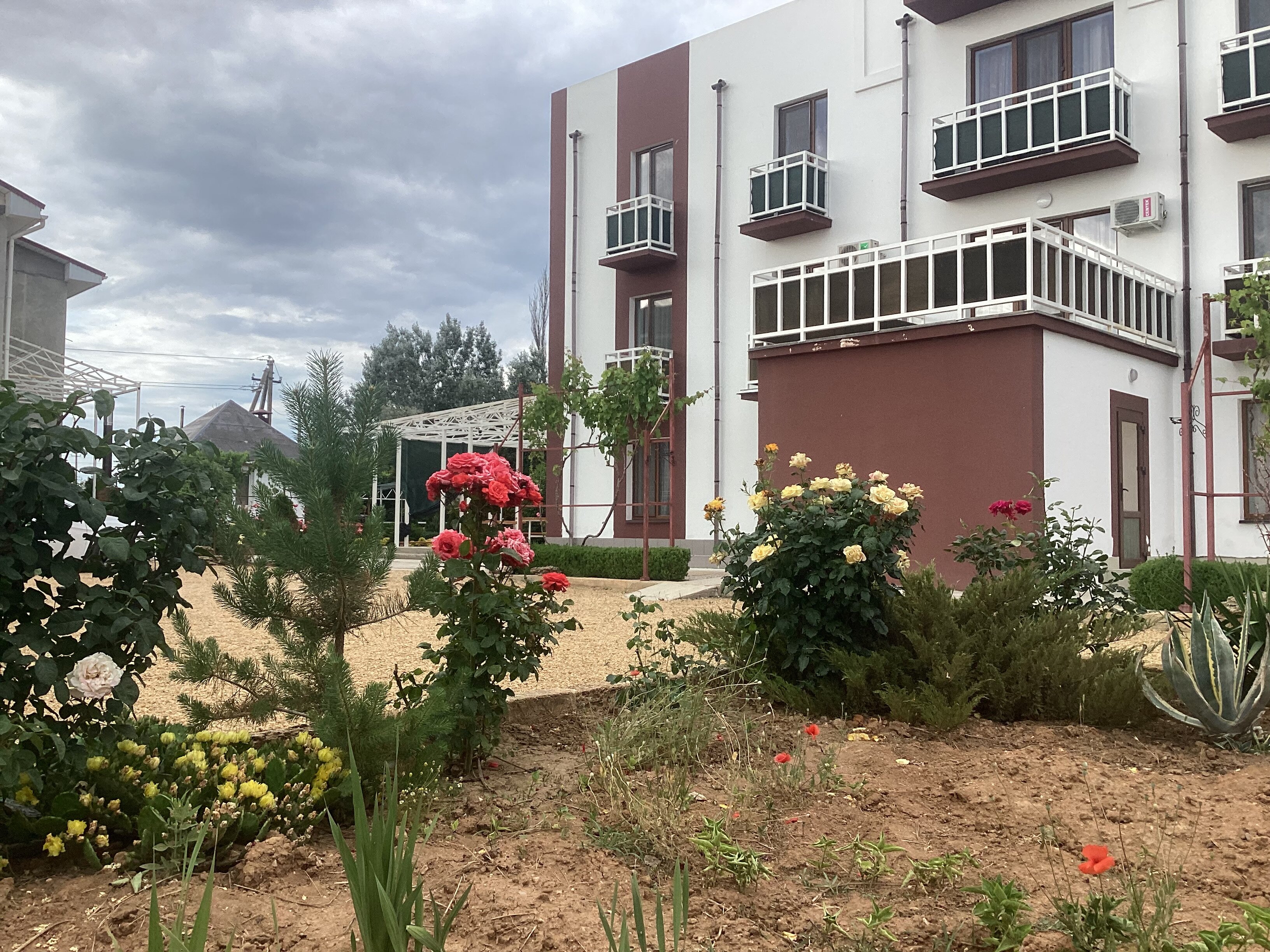 Фото Мерджан