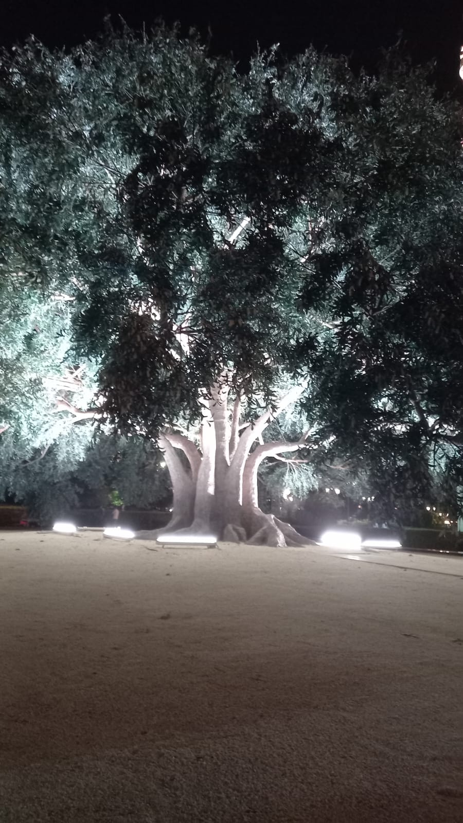 Фото Беркат