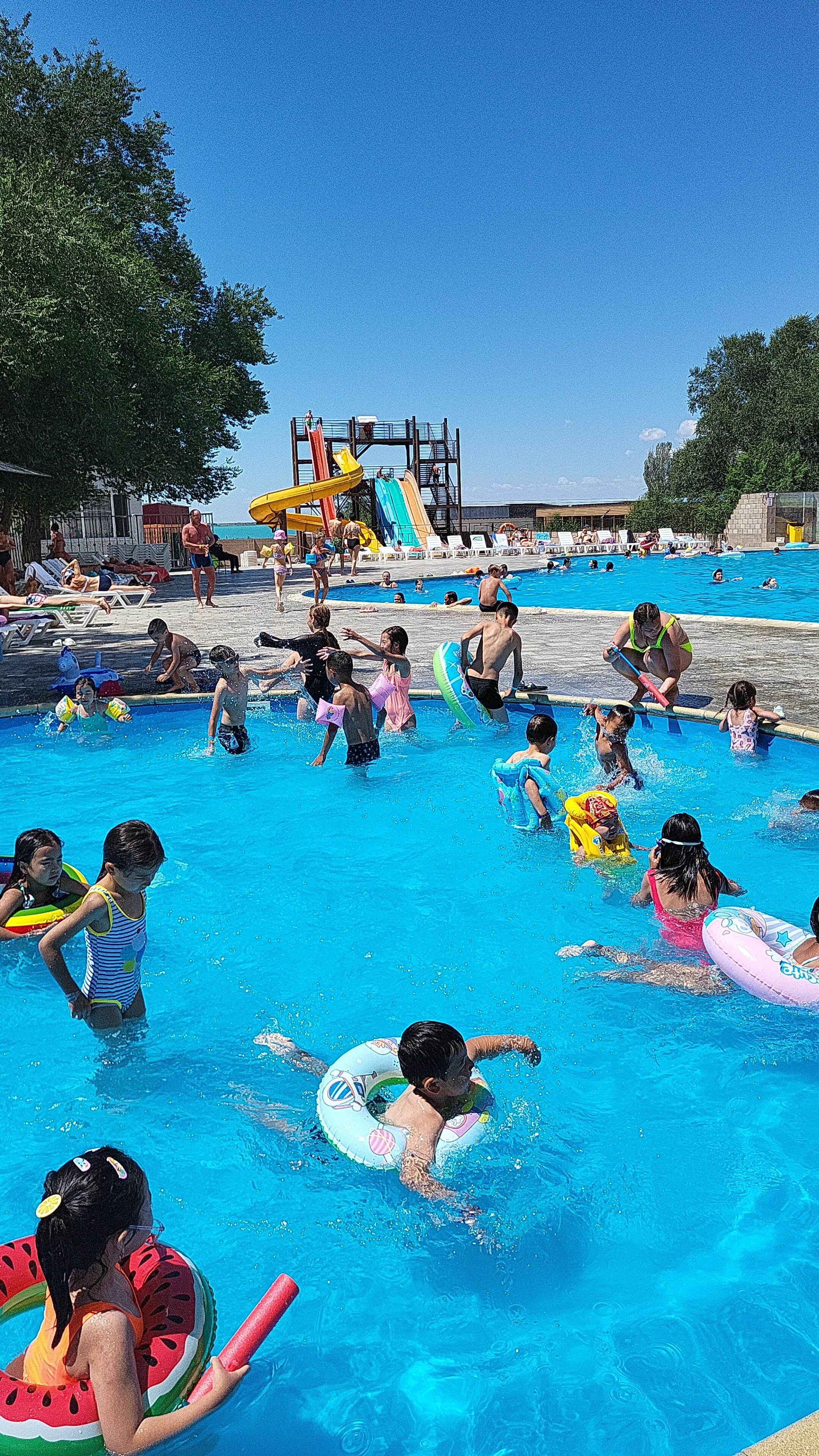 Фото Жемчужина