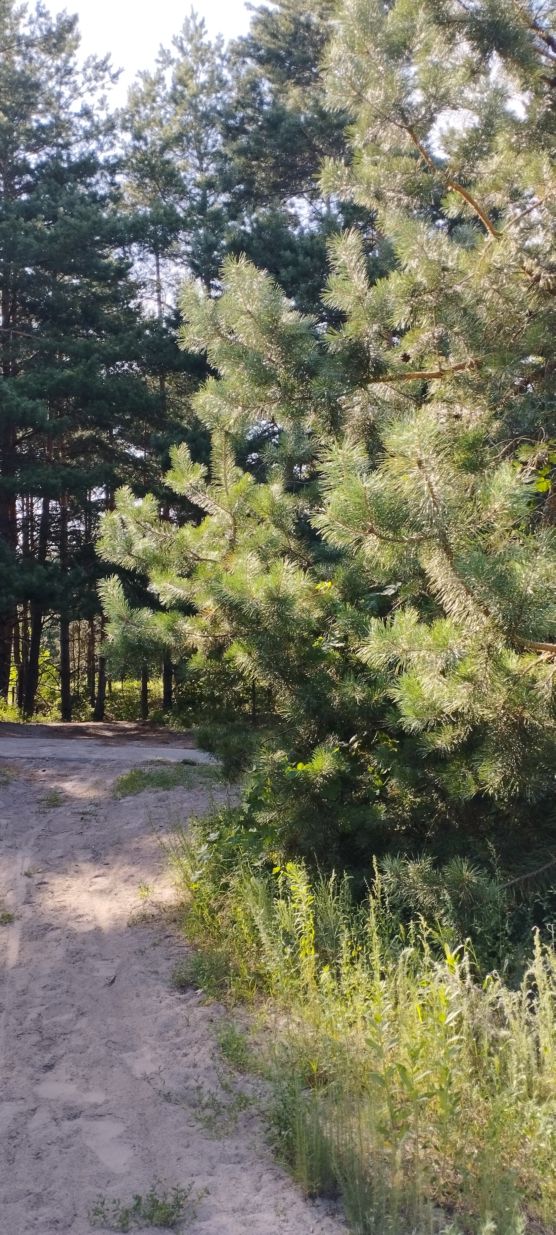 Фото Благодать