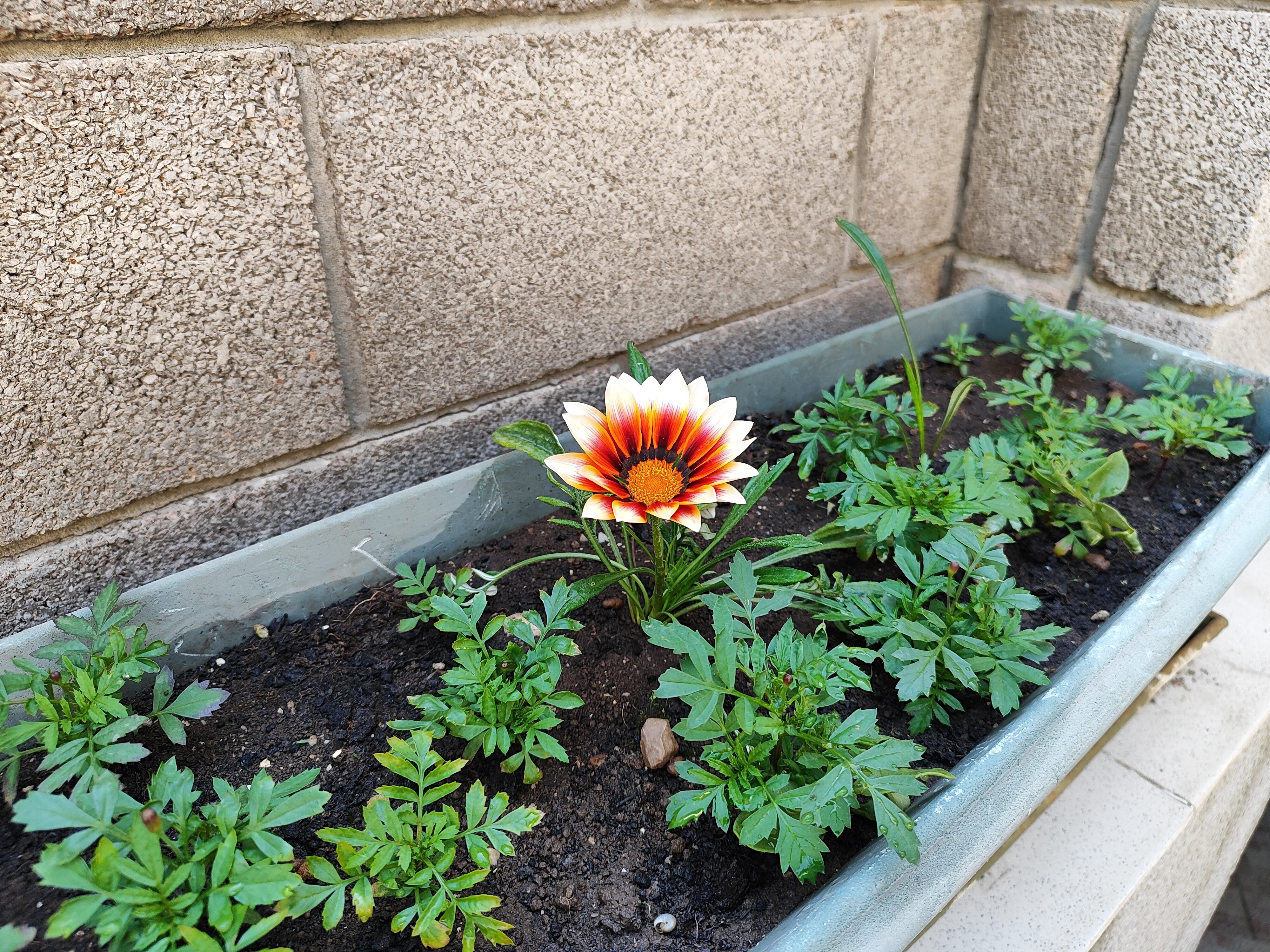 Фото Уютный дворик