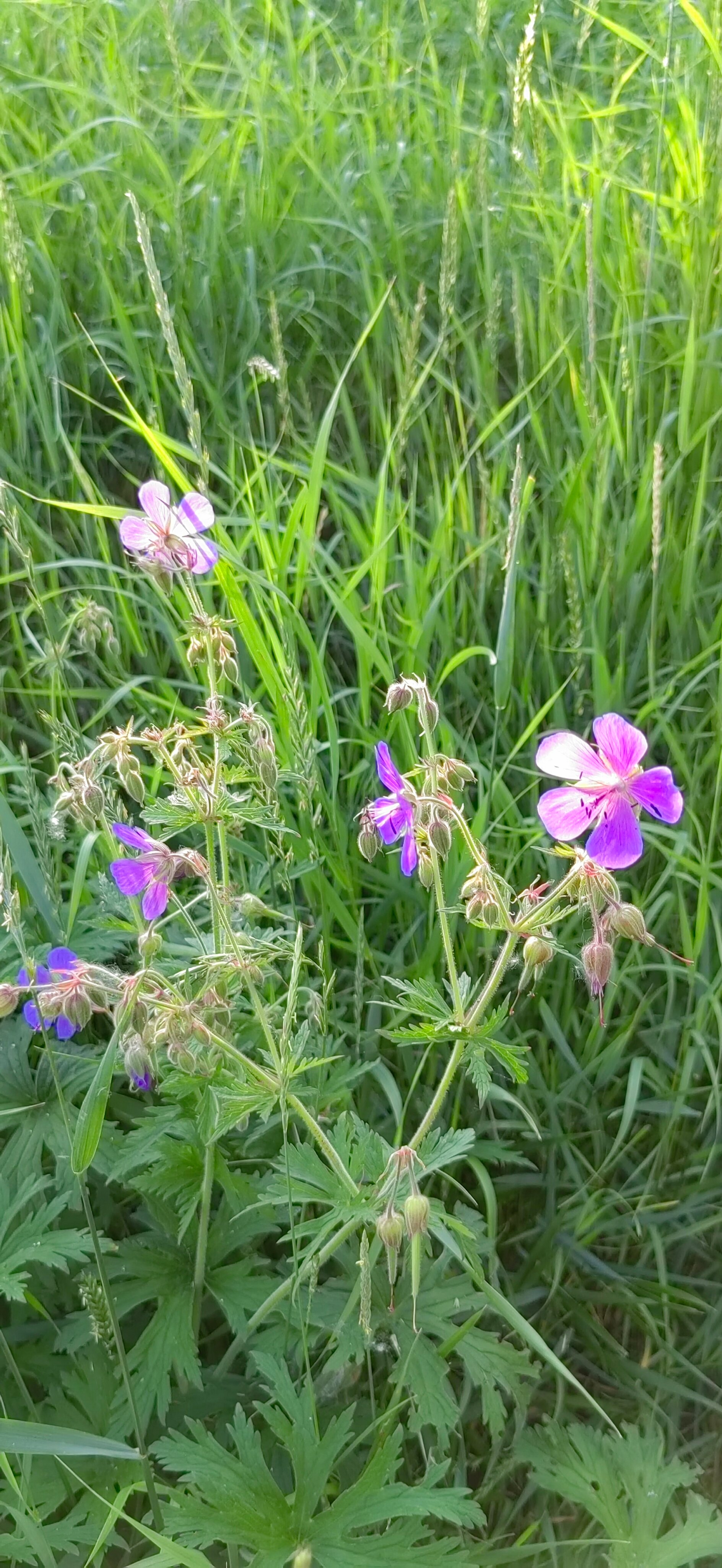 Фото Гостиница Алпатьево
