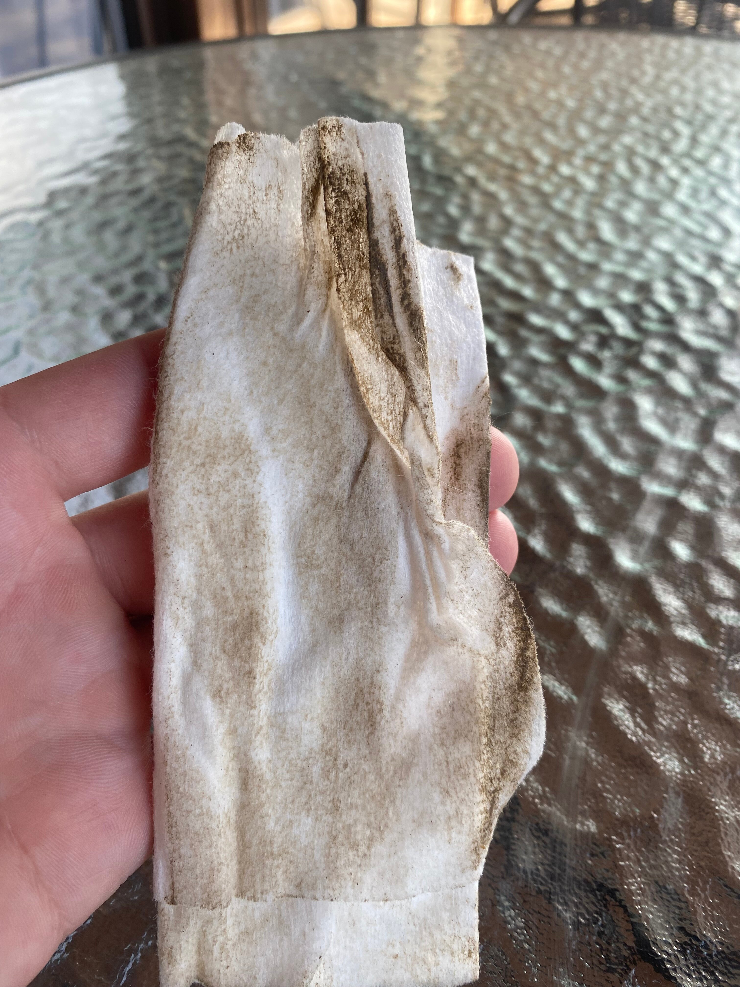 Фото Алая Роза