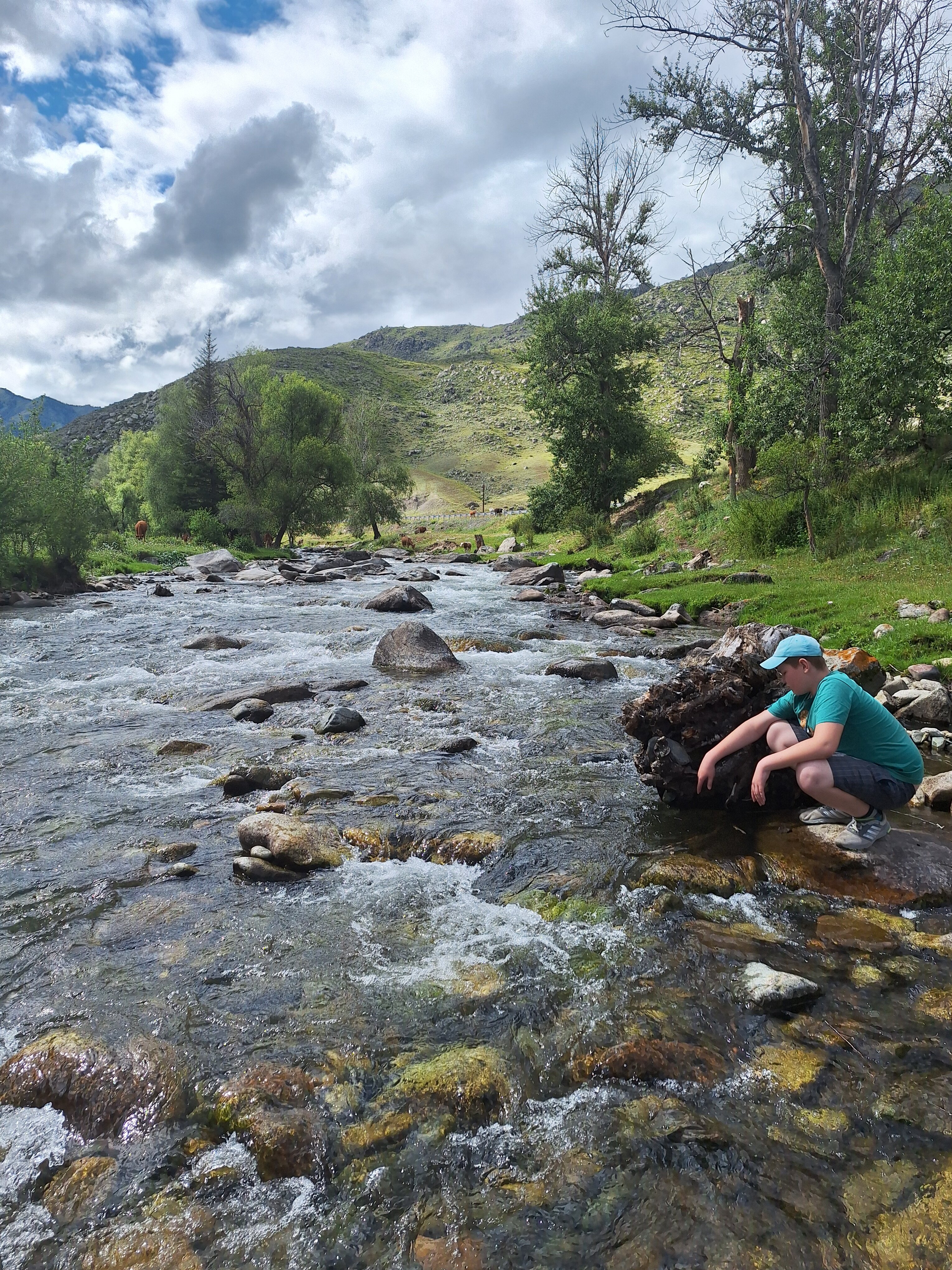 Фото Яломан camp