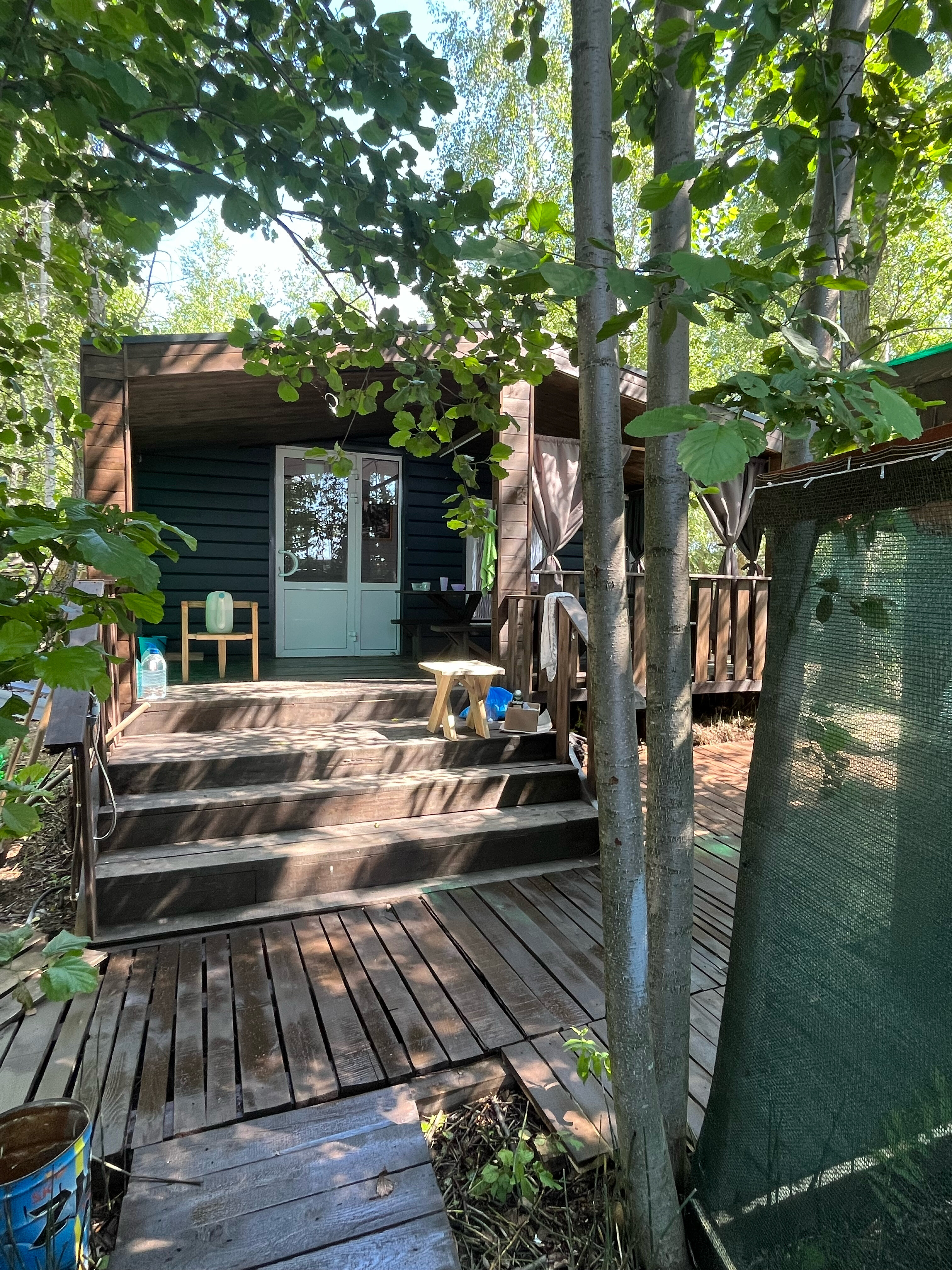 Фото Облепиха