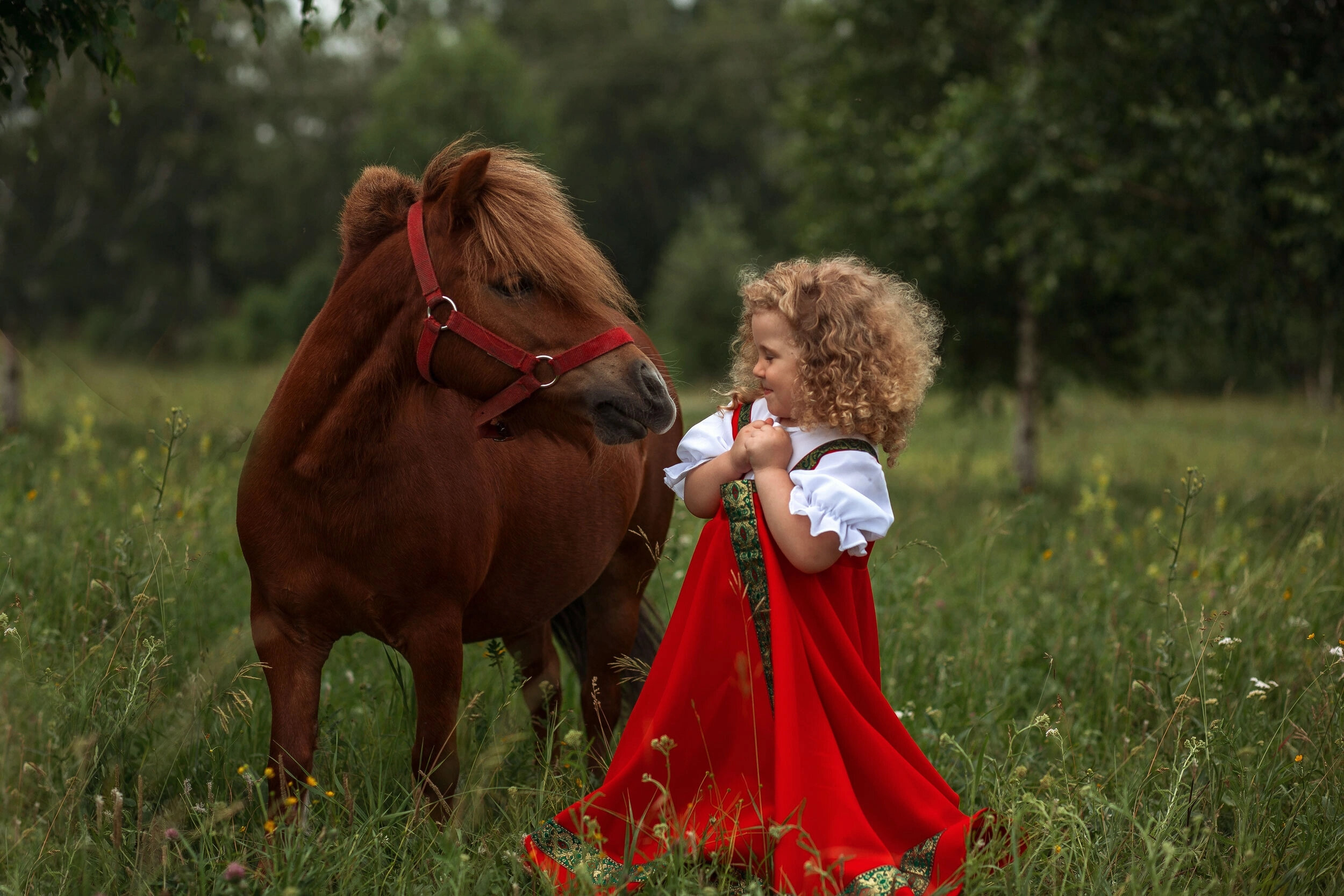 Фото Бабушкина дача
