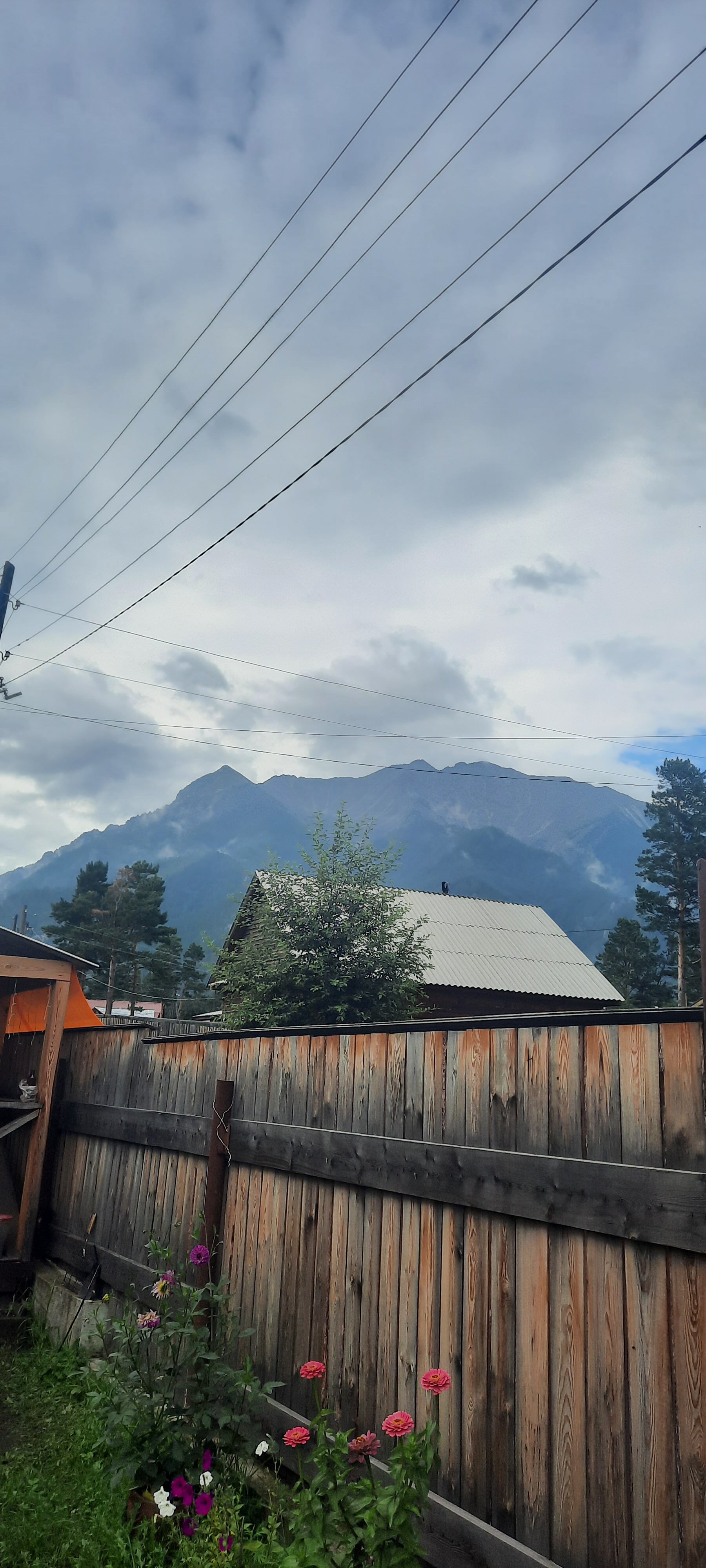 Фото Удачный