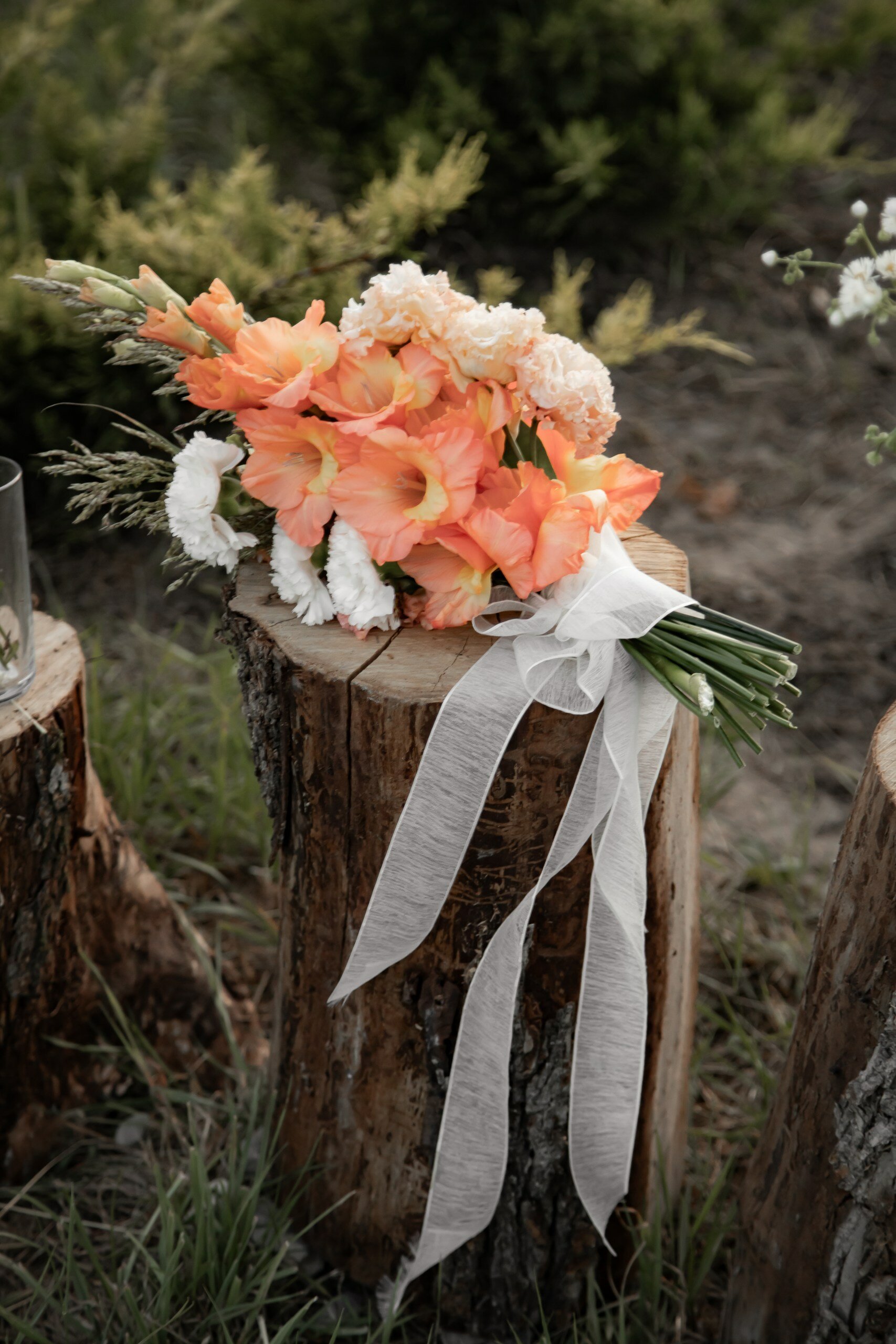 Фото Карский клуб