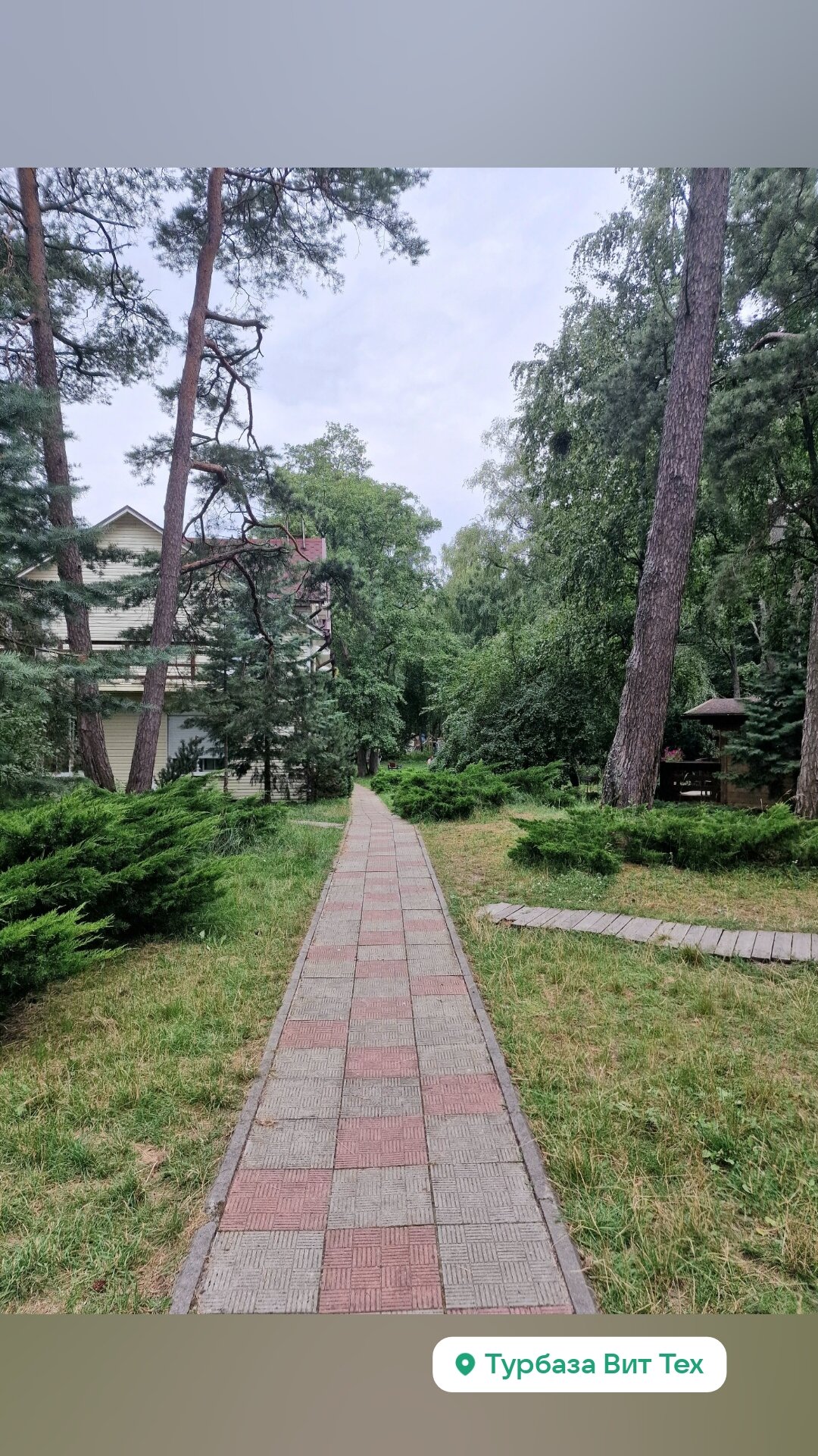 Фото ВитТех