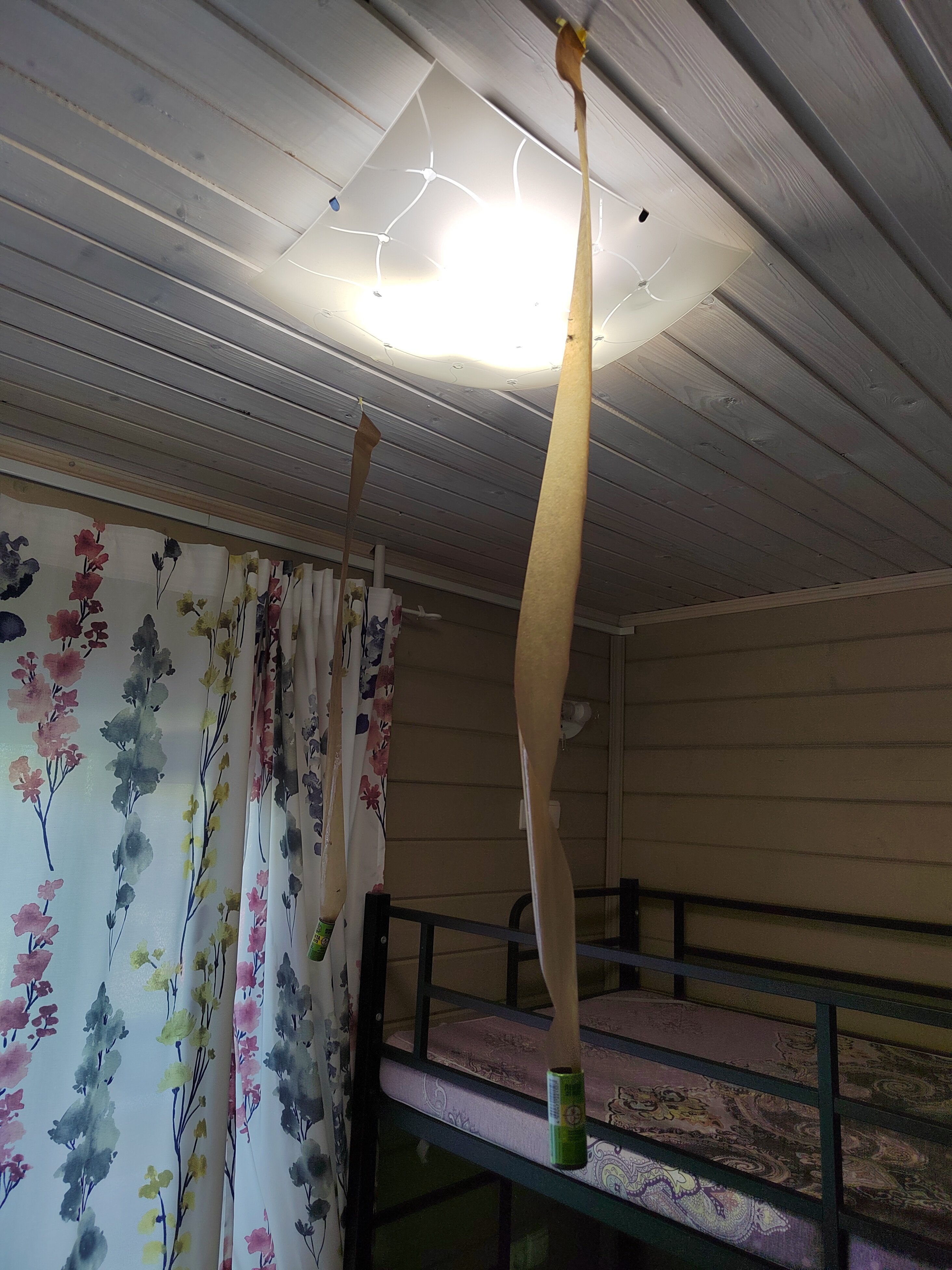 Фото Дом паломника подворья Псково-Печерского монастыря