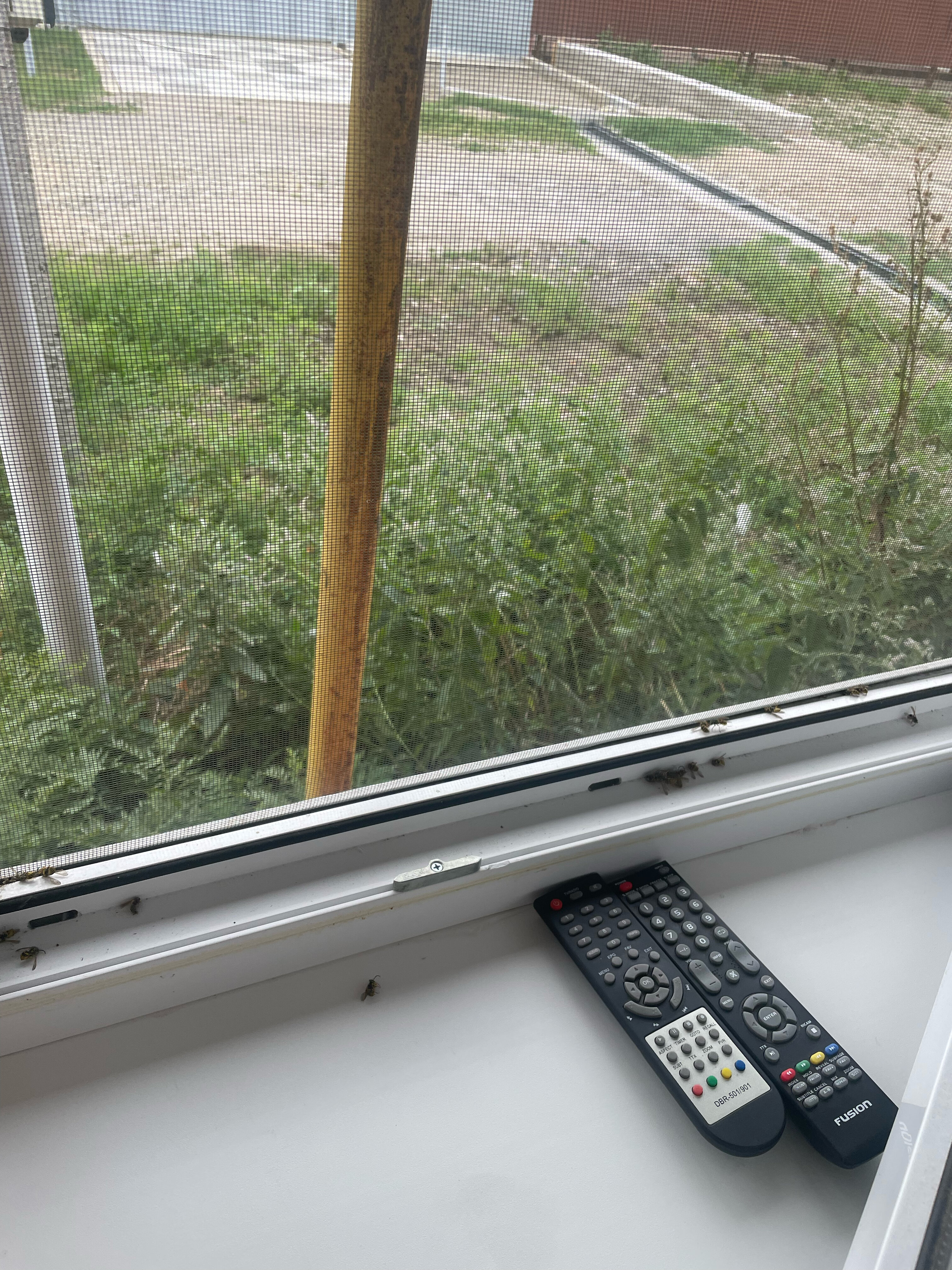 Фото Островок