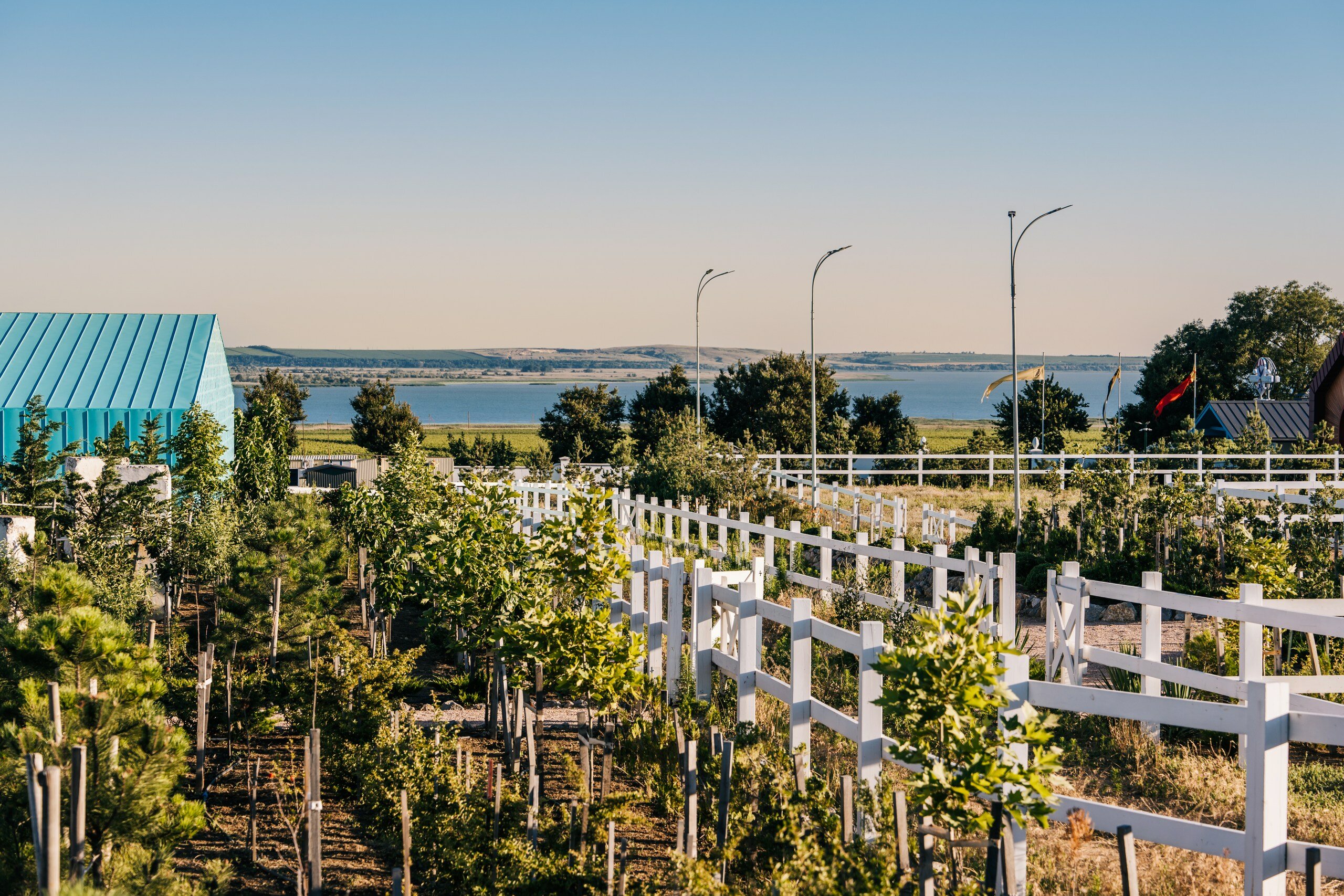 Фото Villa Romanov Wine Club & SPA