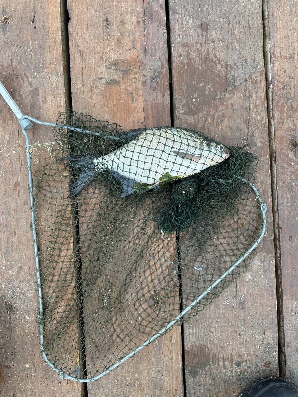 Фото На берегу четырех озер