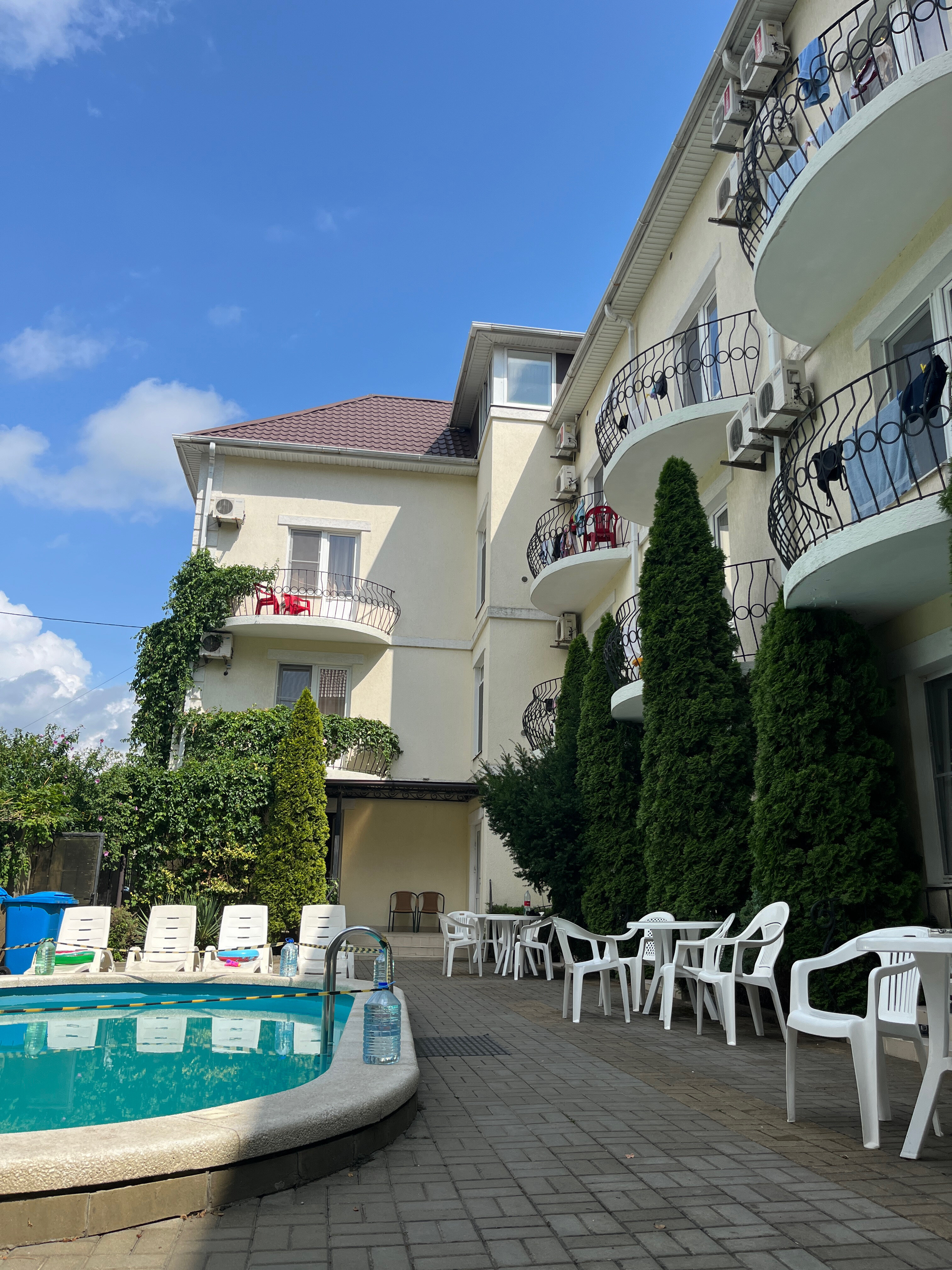 Фото Золотой Каштан