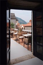 Фото Hippocampus