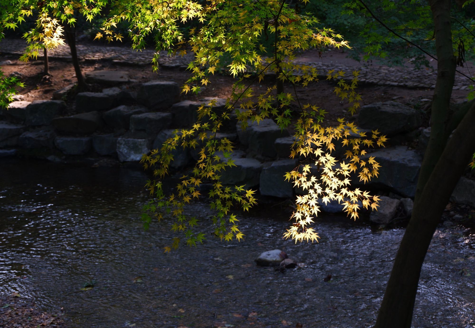 Фото Hangzhou Sansu Hotel