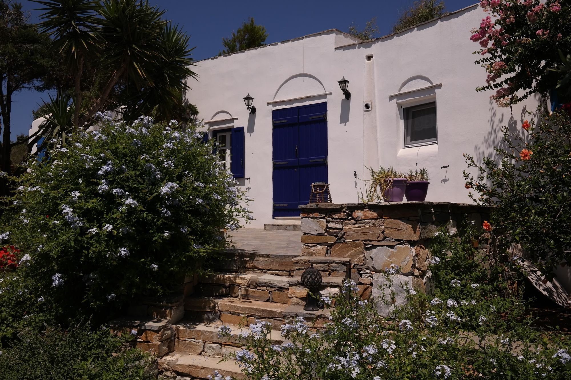 Фото Sun Rock Boutique Suites