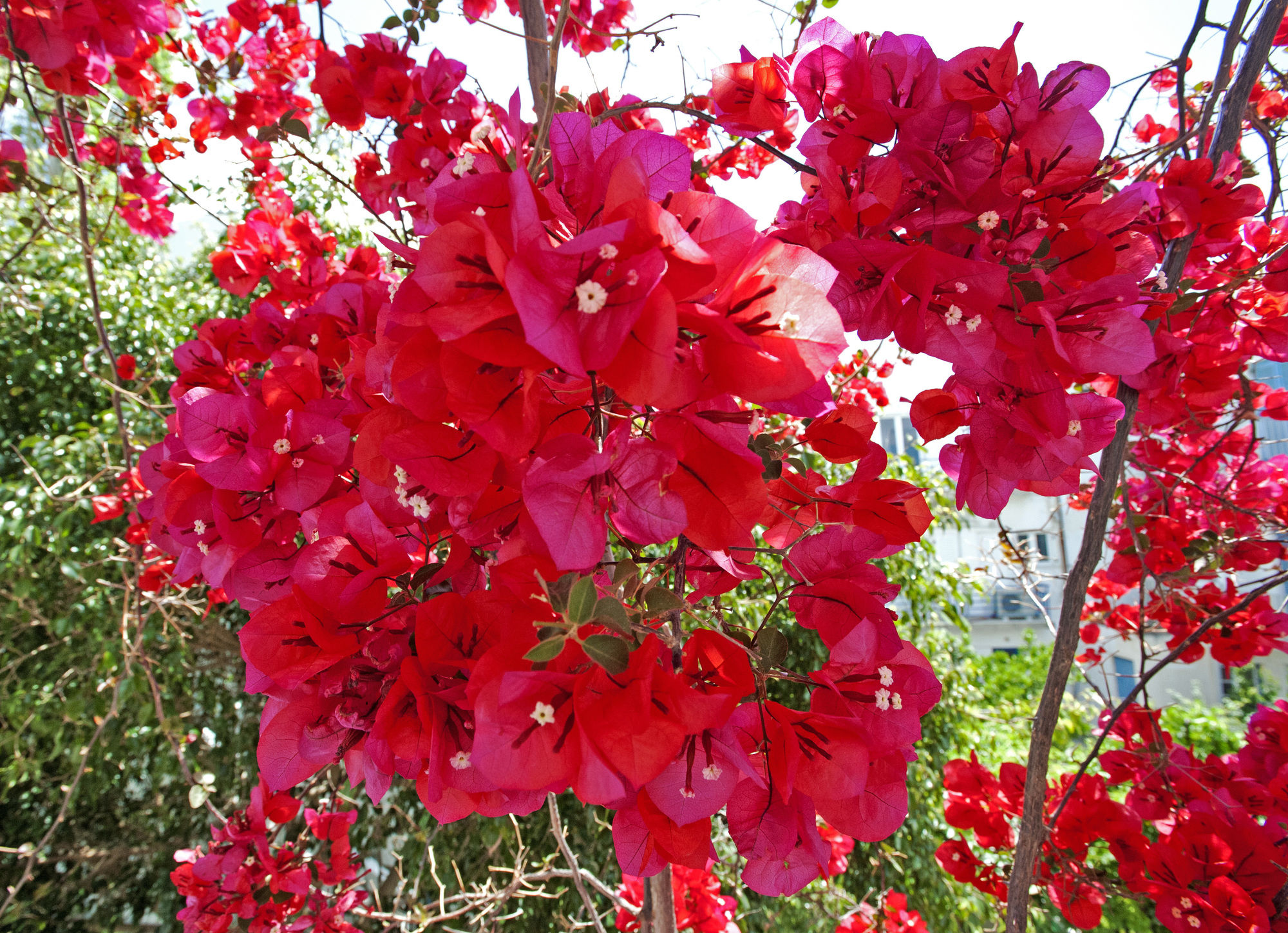 Фото Marisa Rooms