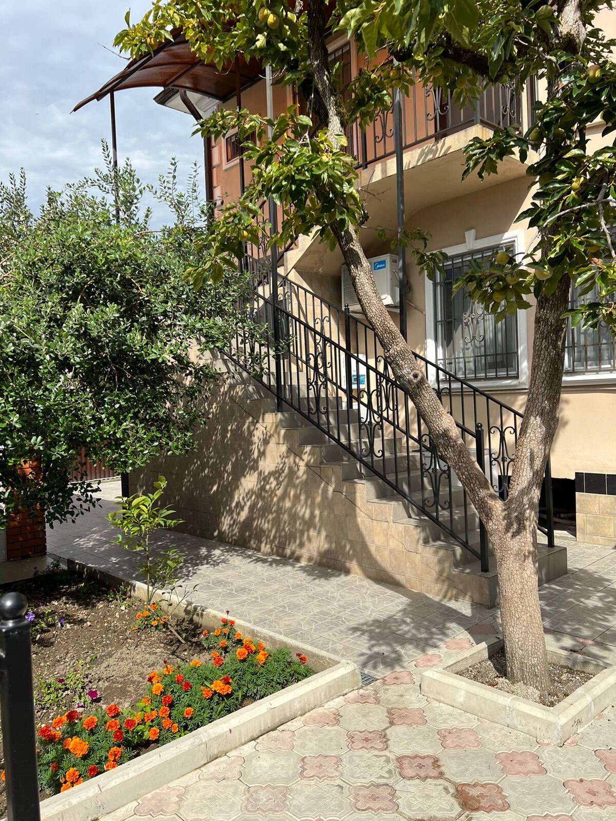 Фото Дельфин