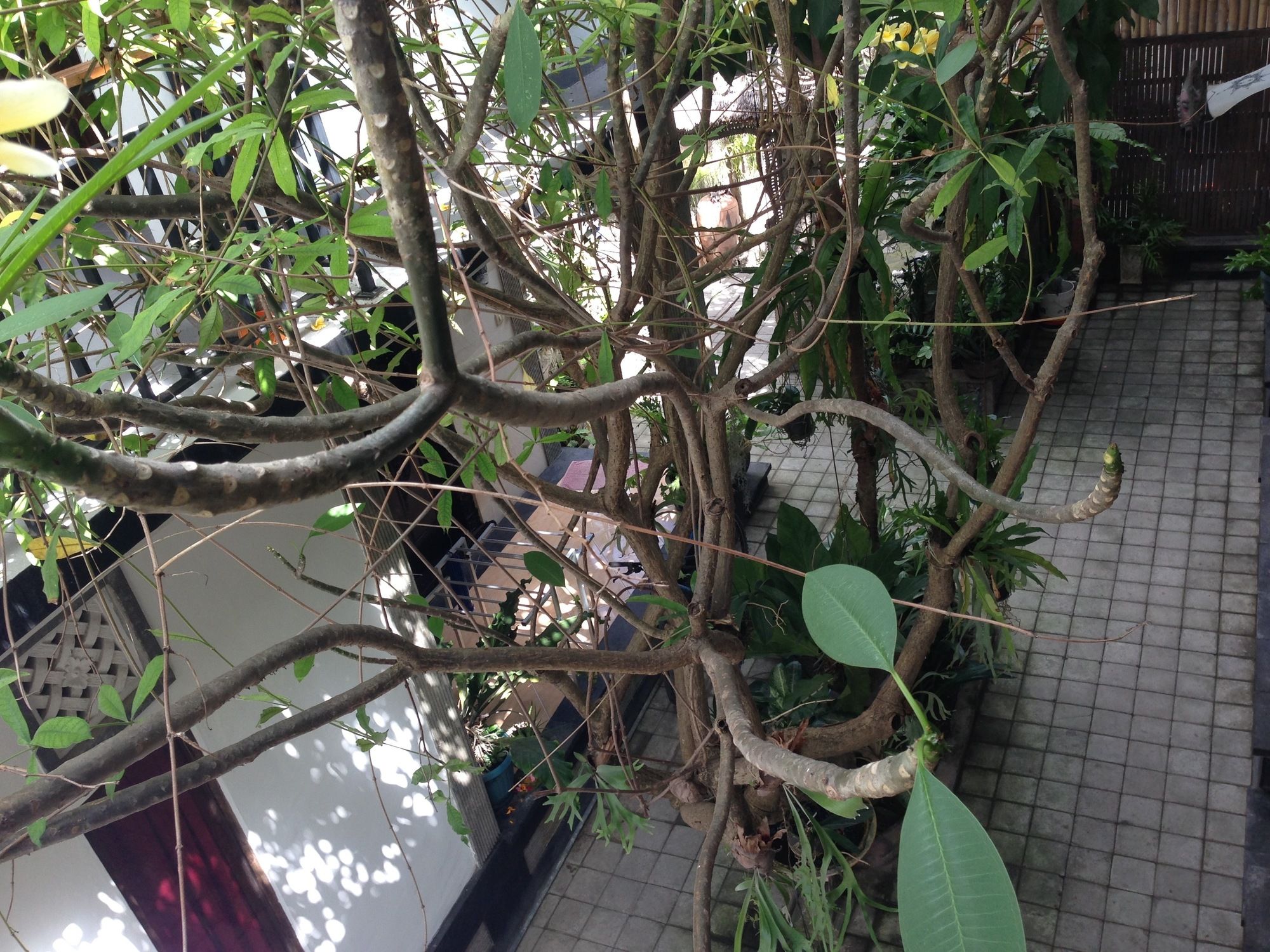 Фото Double N Guesthouse