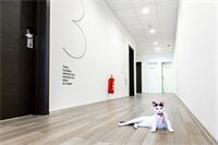 Фото 101 Dalmatinac