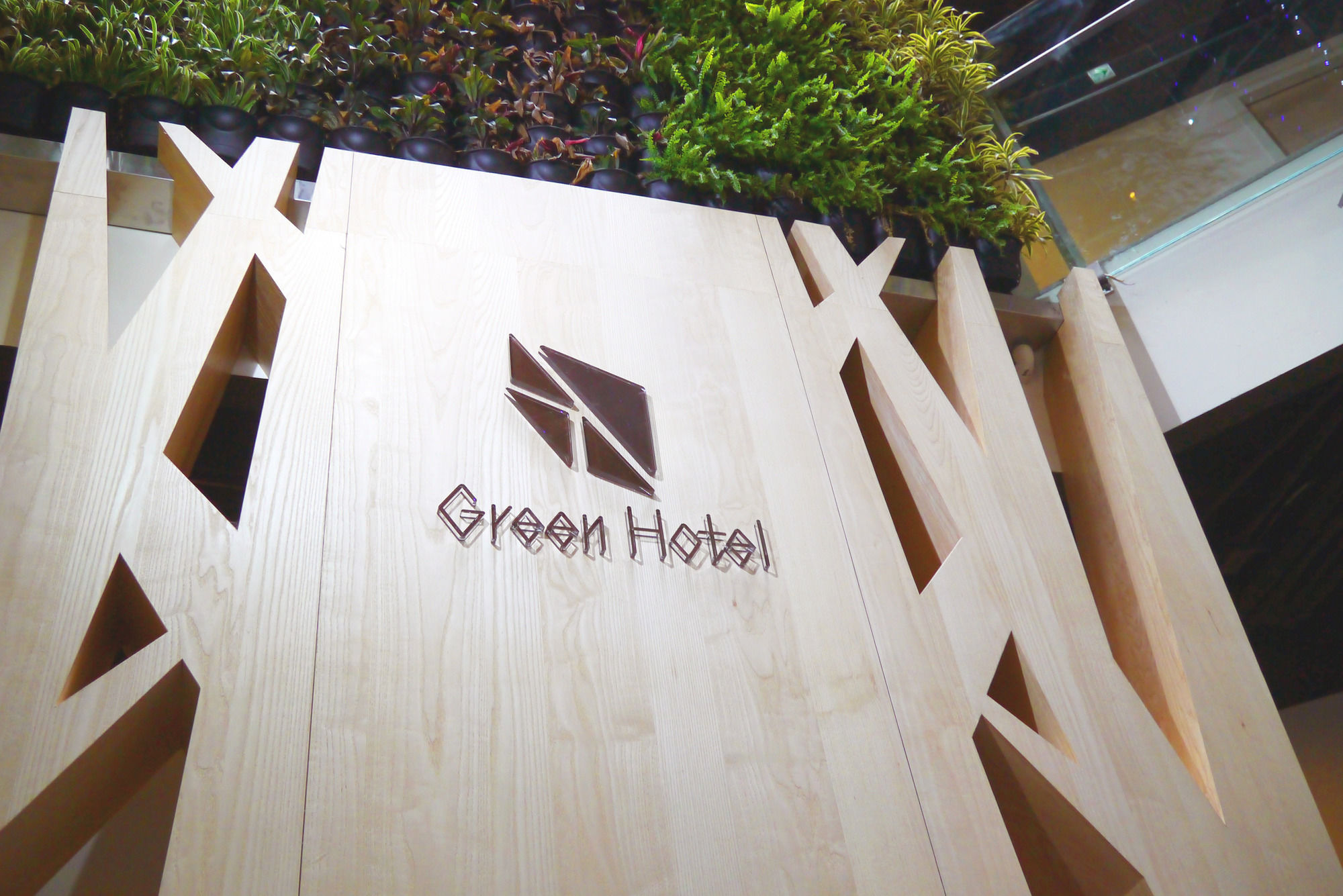 Фото Green Hotel