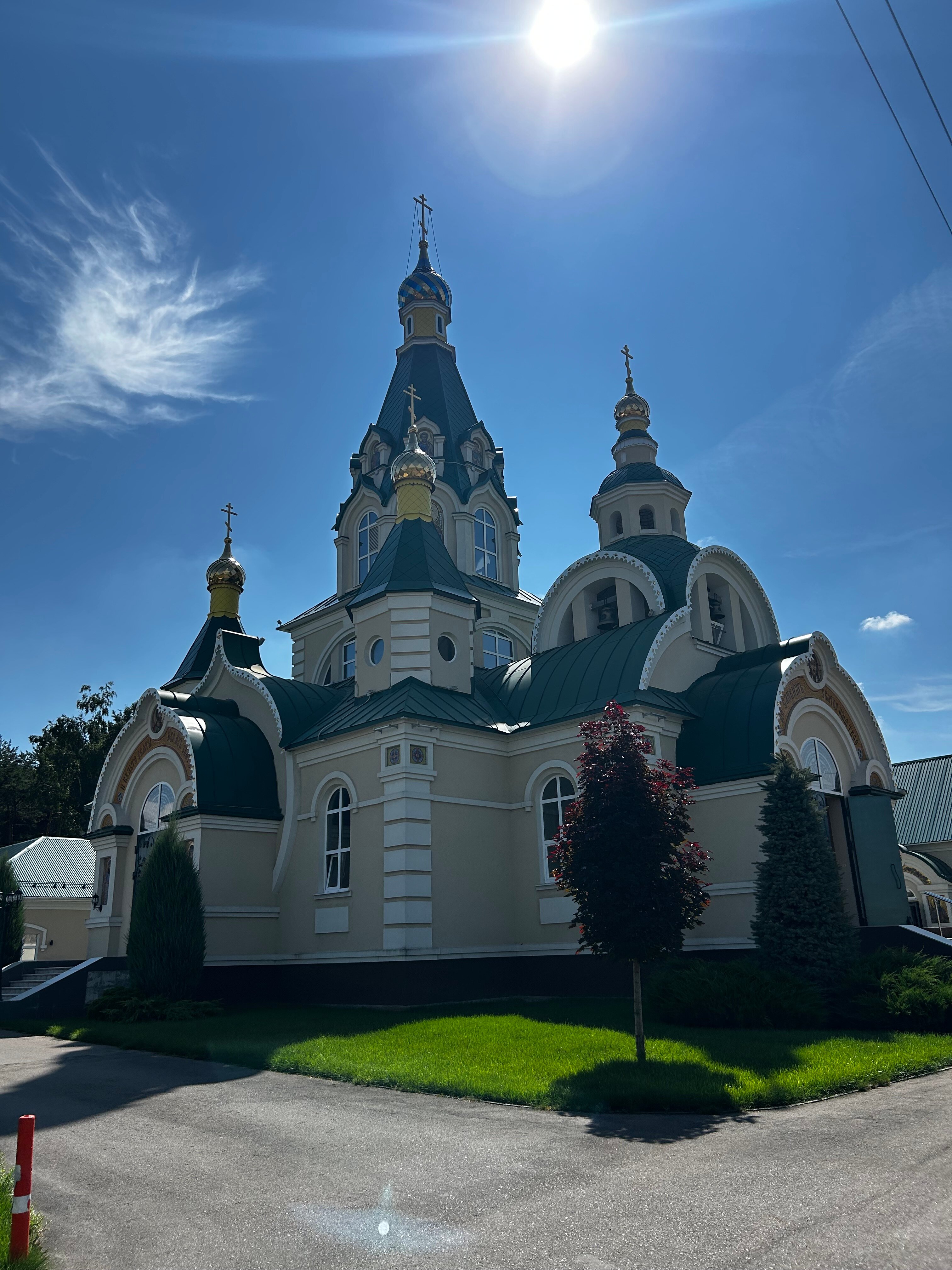 Фото Папоротник