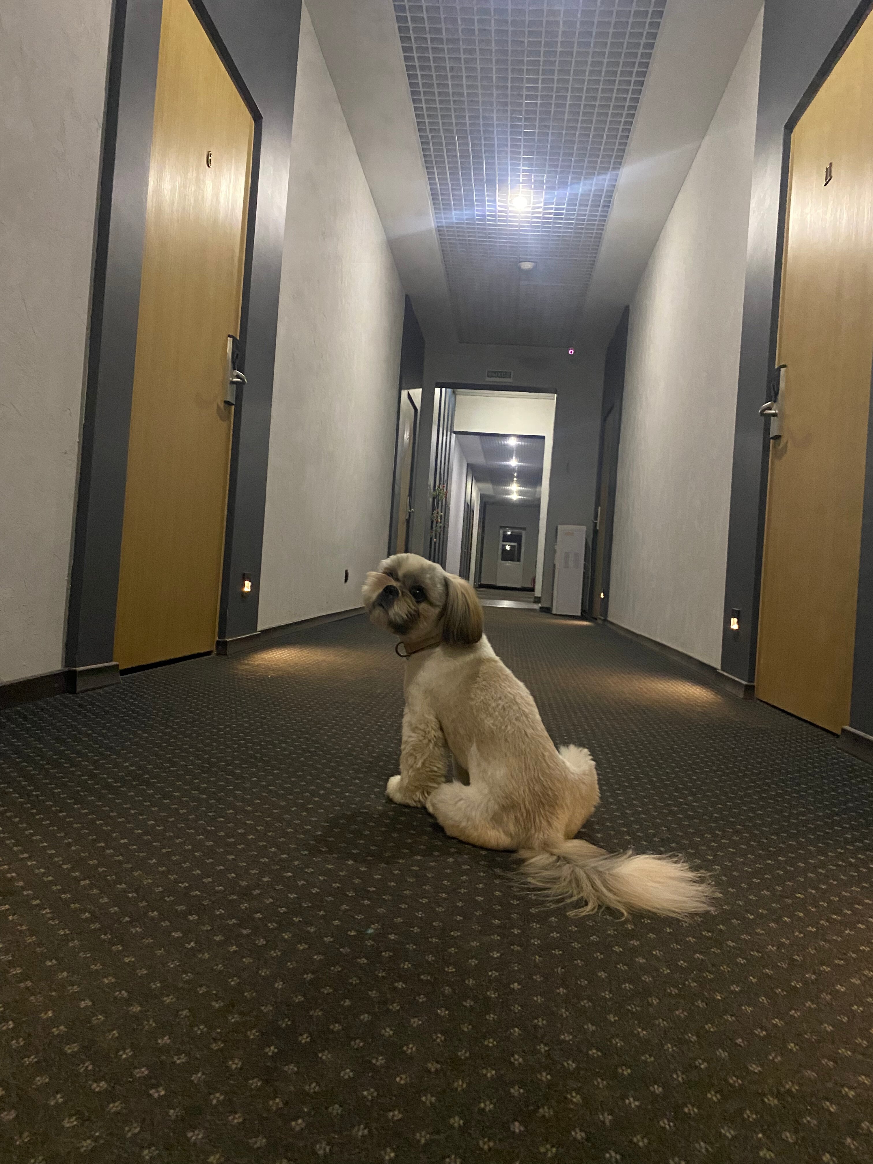 Фото Дубовка