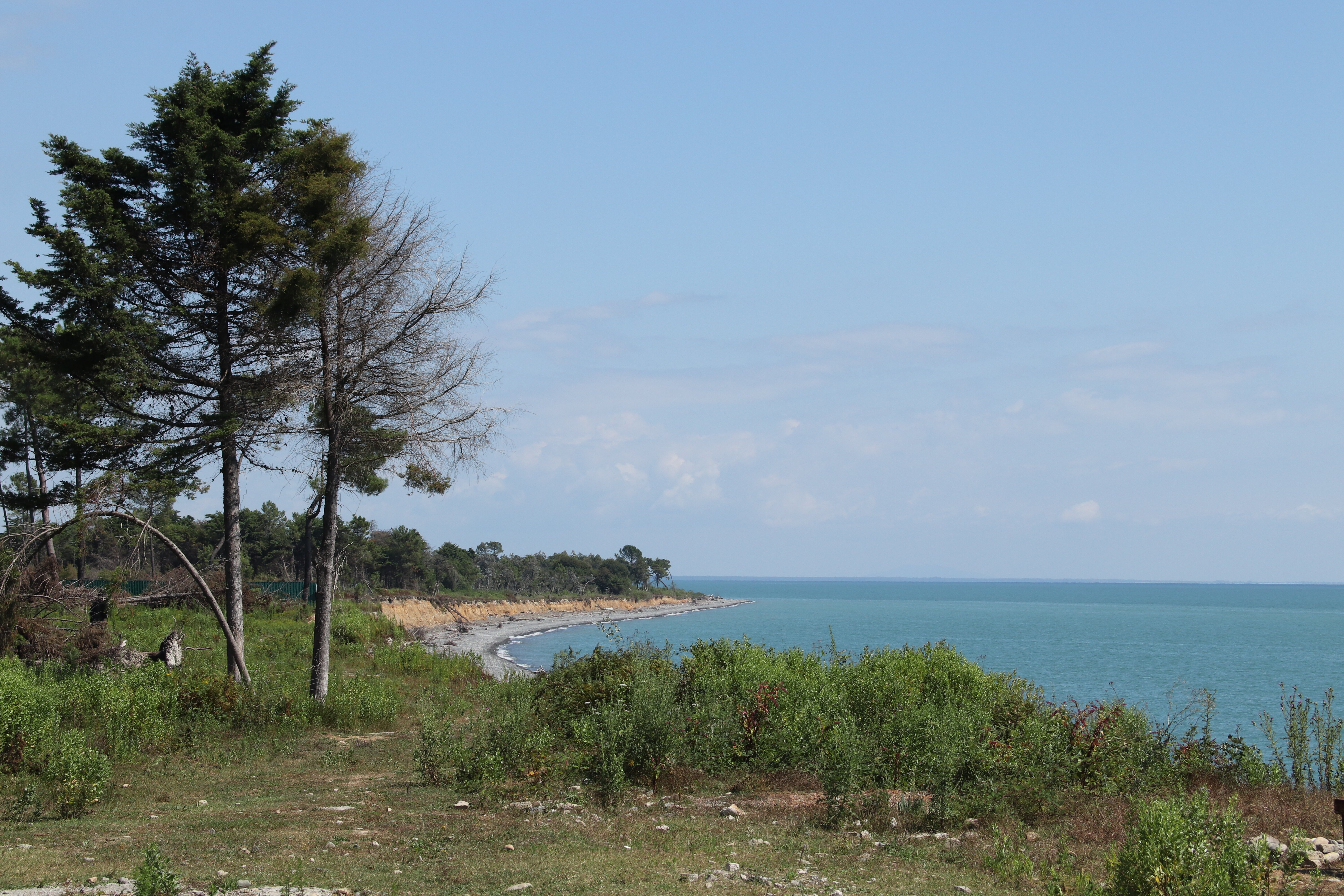 Фото Сказка