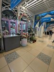 Spring (Mendeleyeva Street, 205А), flower shop