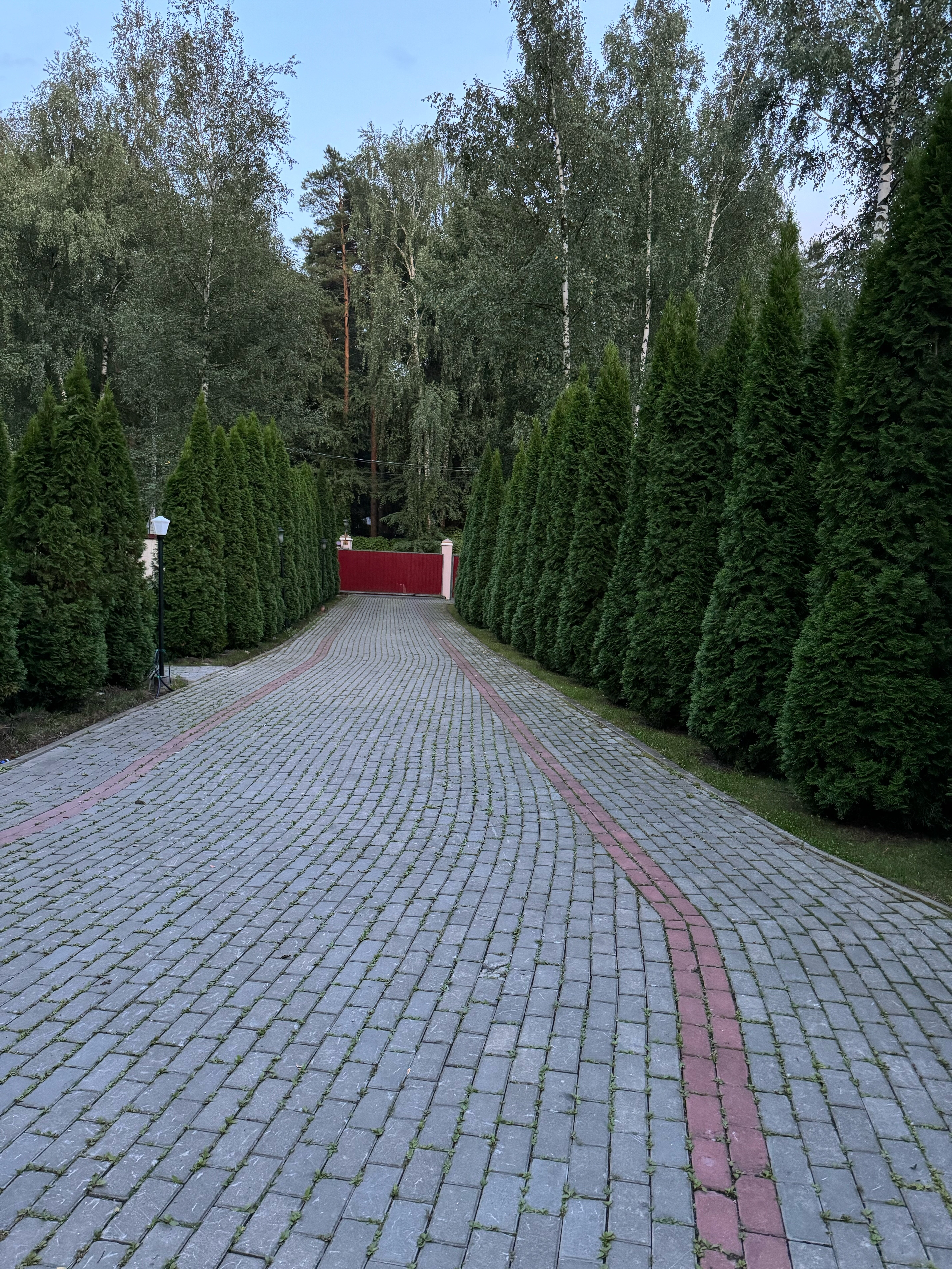 Фото Золотая осень