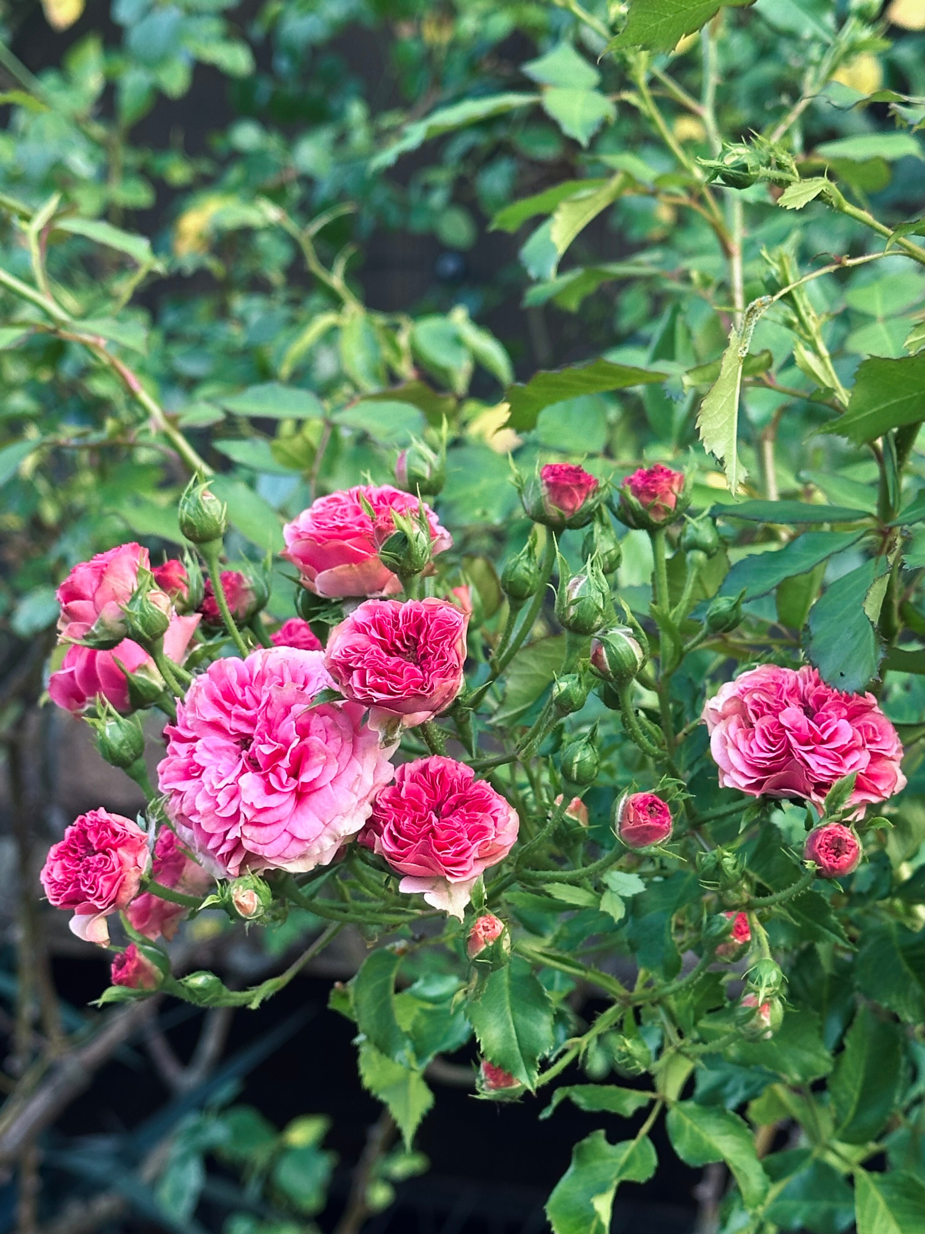 Фото Аква-Солярис