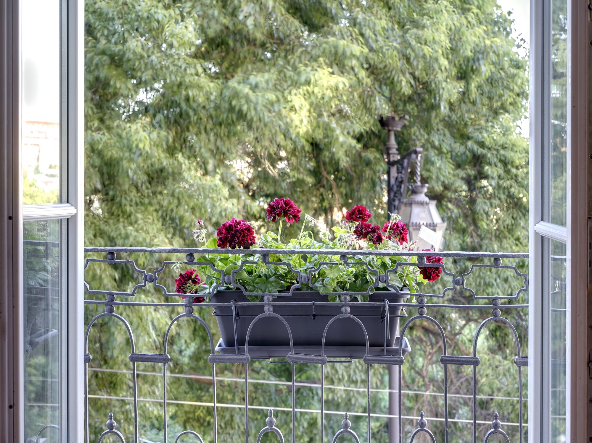 Фото Residentas São Pedro