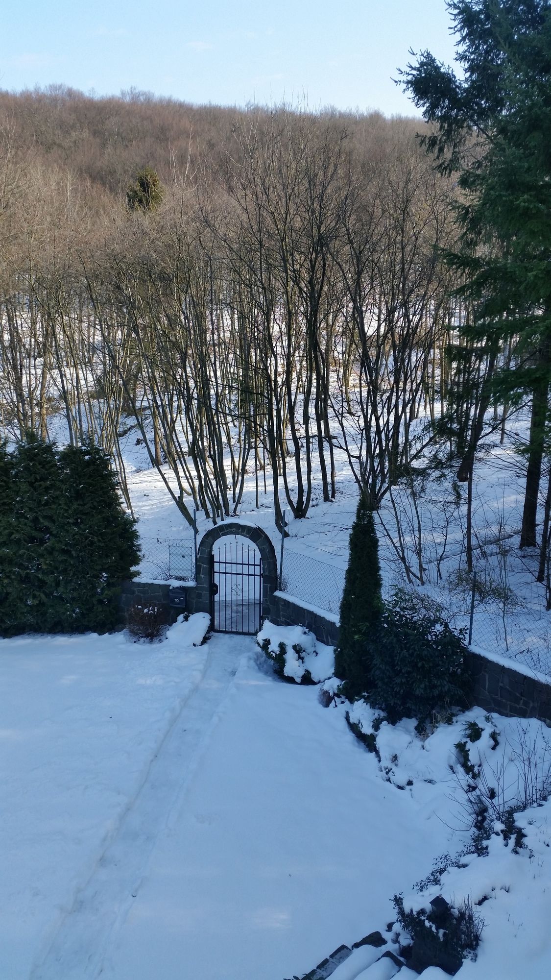 Фото Penzión Zlatý Jeleň