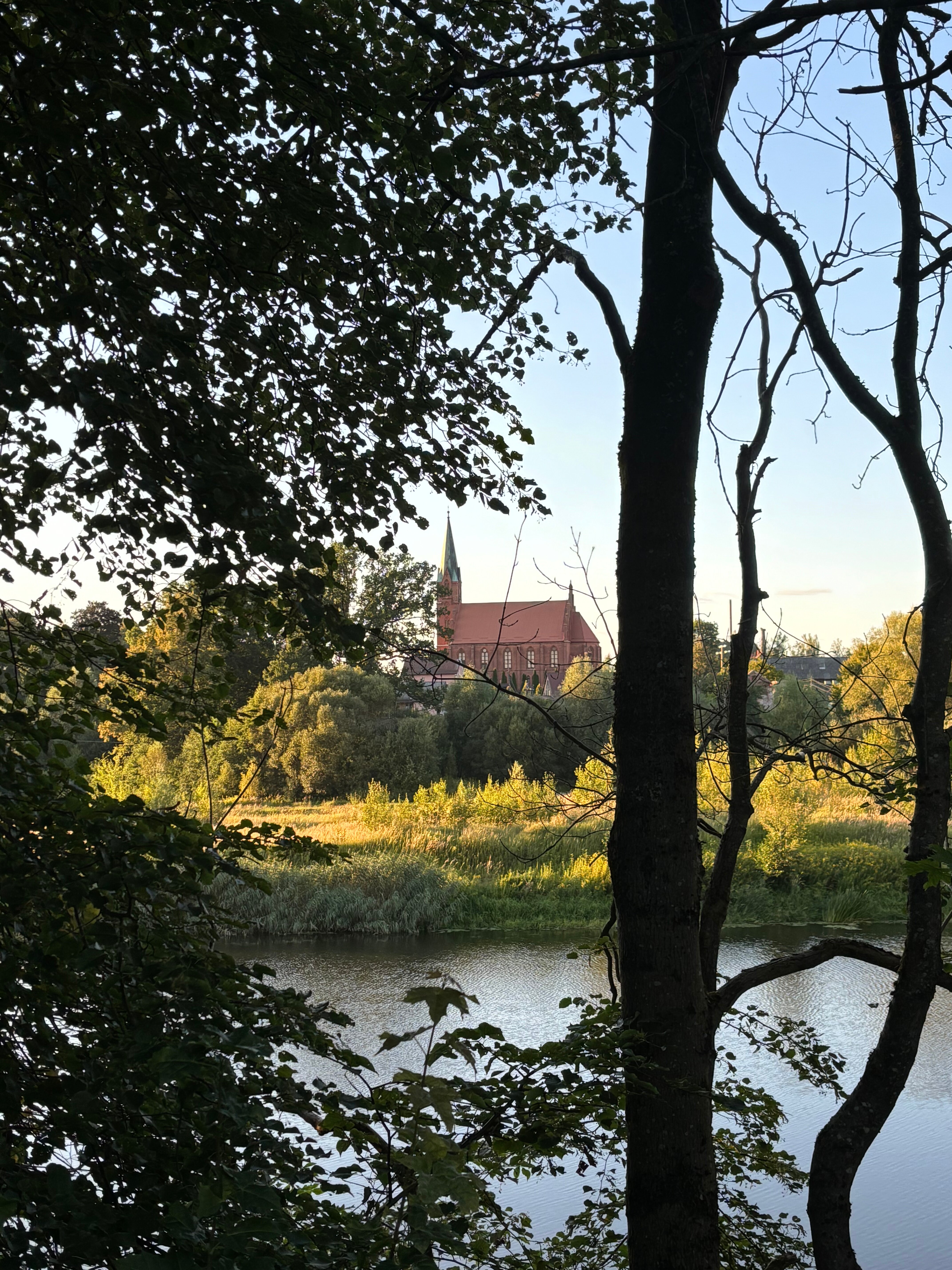 Фото Ореховый сад