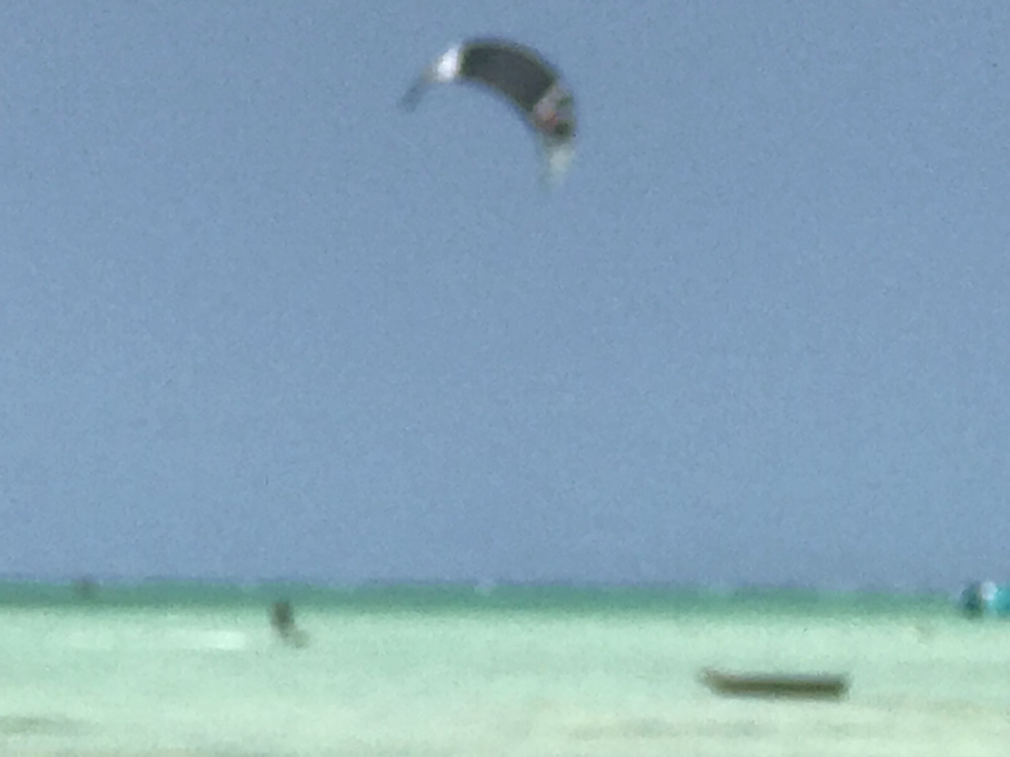 Фото Zanzibar Dream Lodge