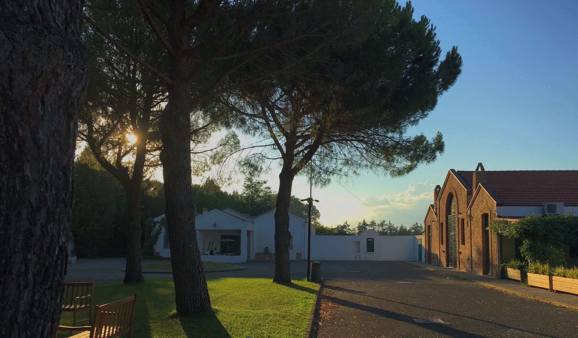 Фото Masseria Macchia & Relais San Pio