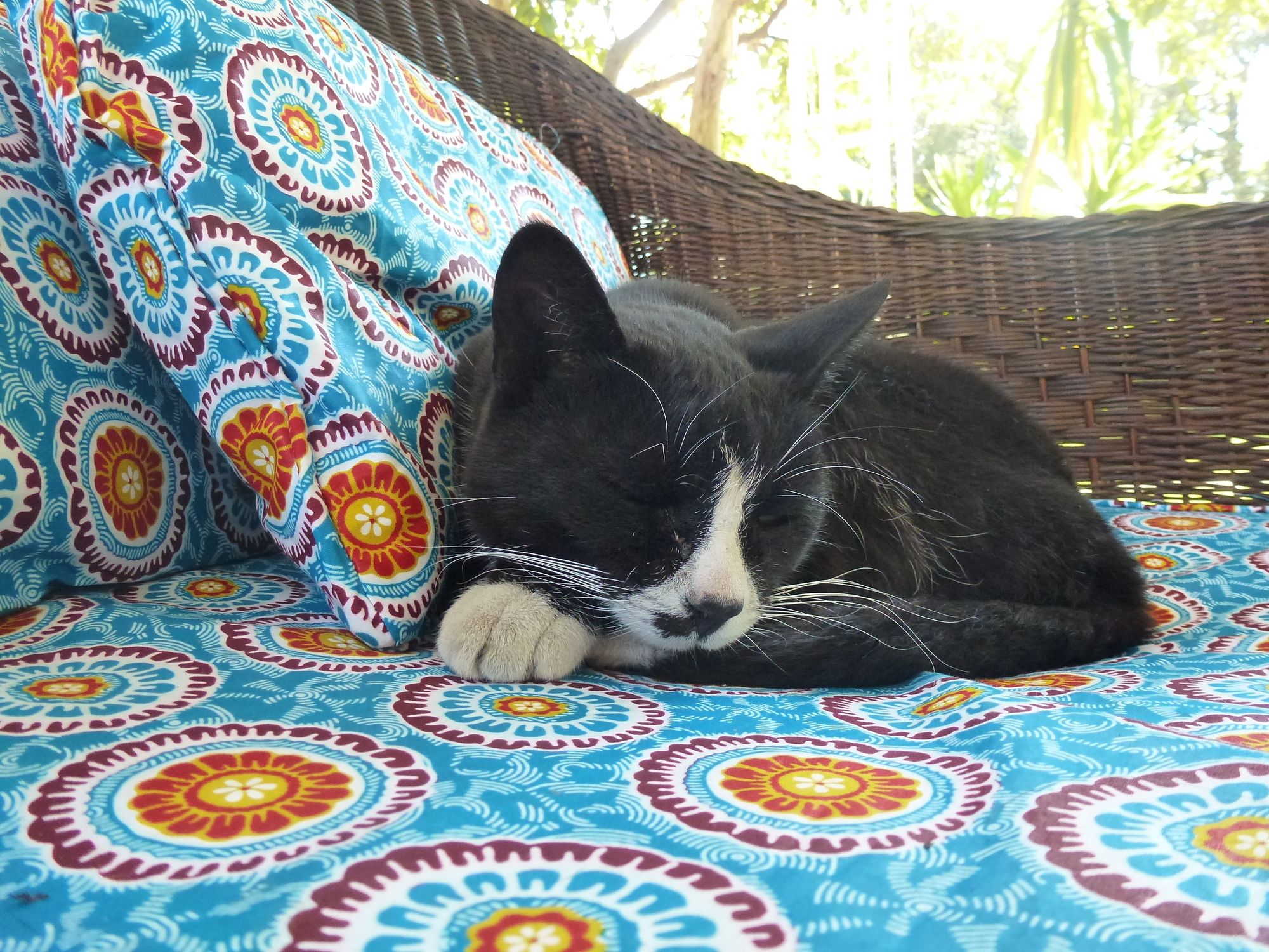 Фото Fawlty Towers