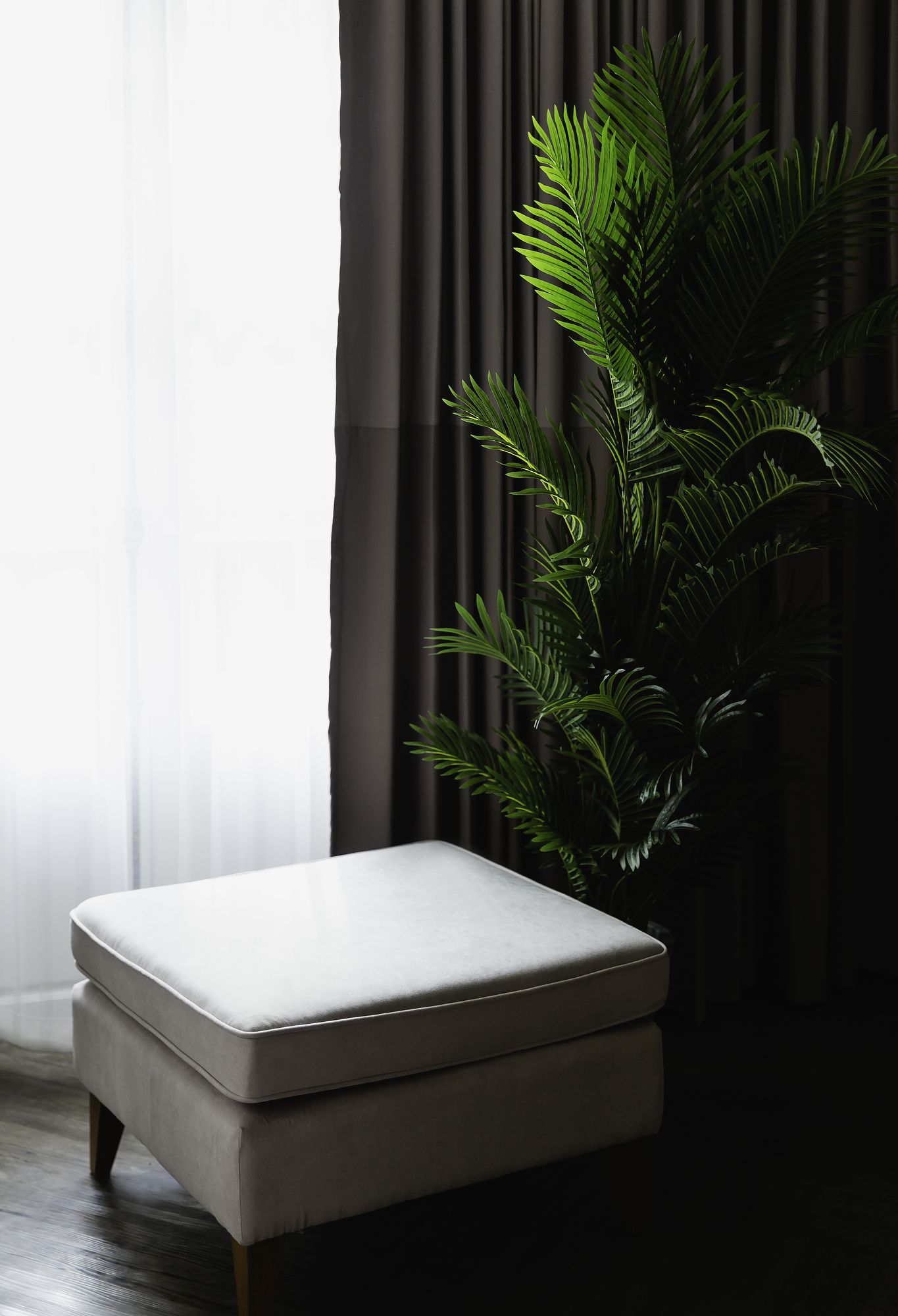 Фото 209487010076