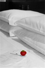 Фото Tulip Inn Fortaleza