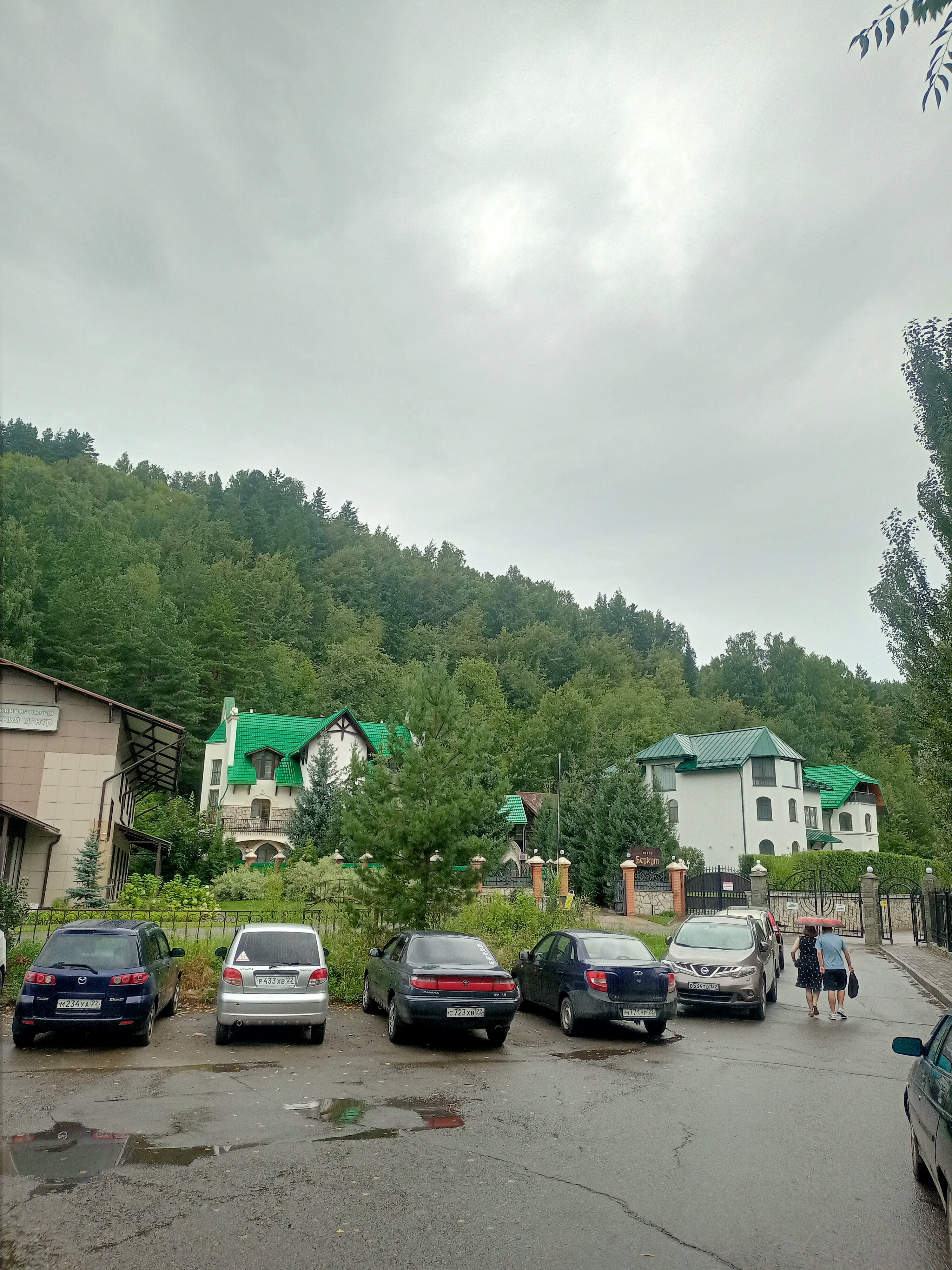 Фото Беркут