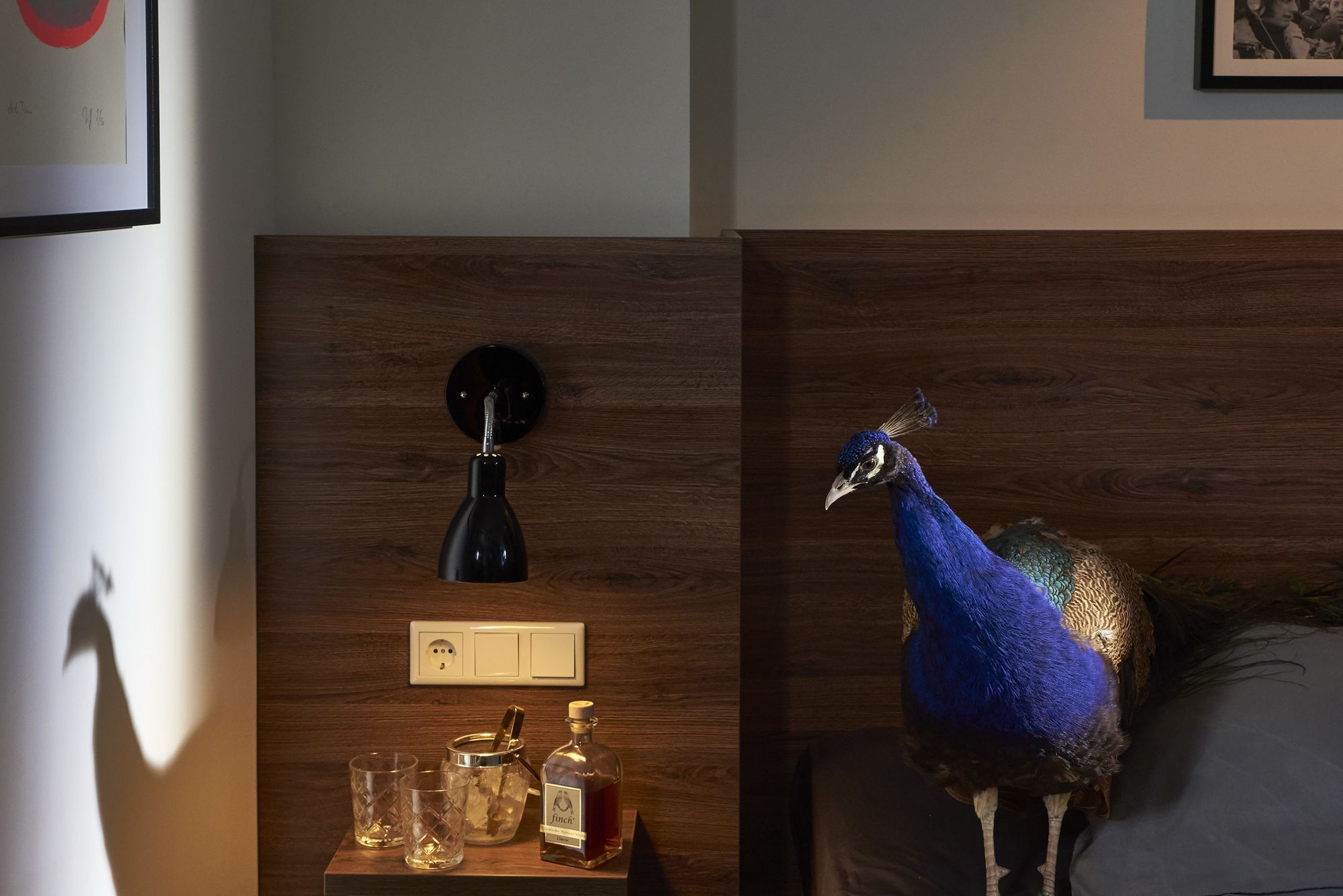 Фото Koncept Hotel Zum Kostbaren Blut